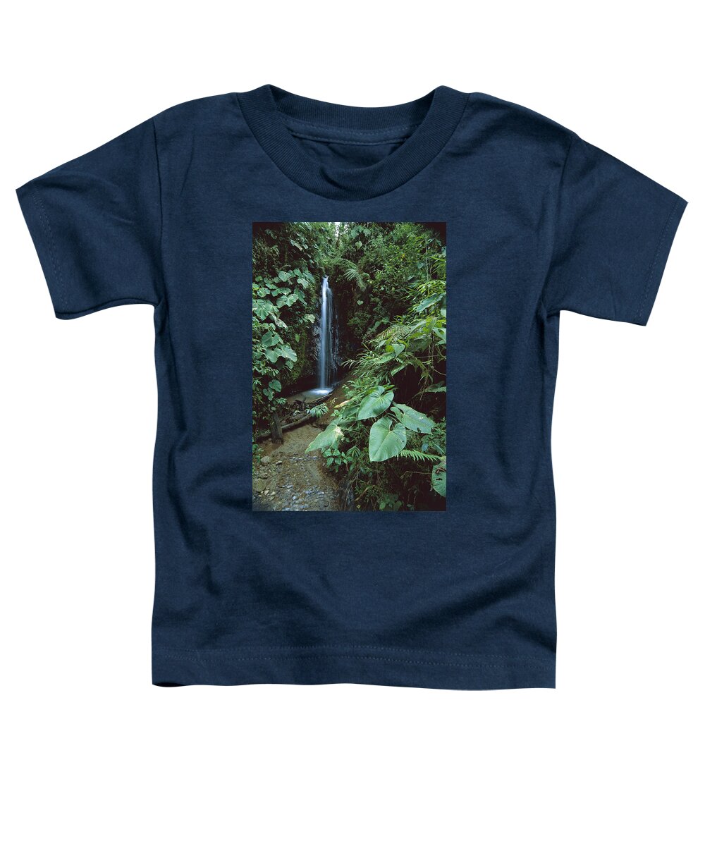 Feb0514 Toddler T-Shirt featuring the photograph Andean Cloud Forest Choco-darien Ecuador by Tui De Roy