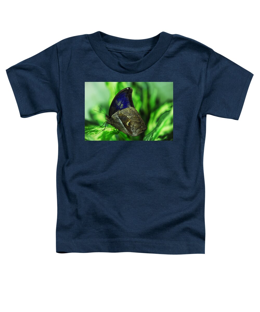 Butterfly Toddler T-Shirt featuring the photograph Associated with the Soul by Jenny Rainbow
