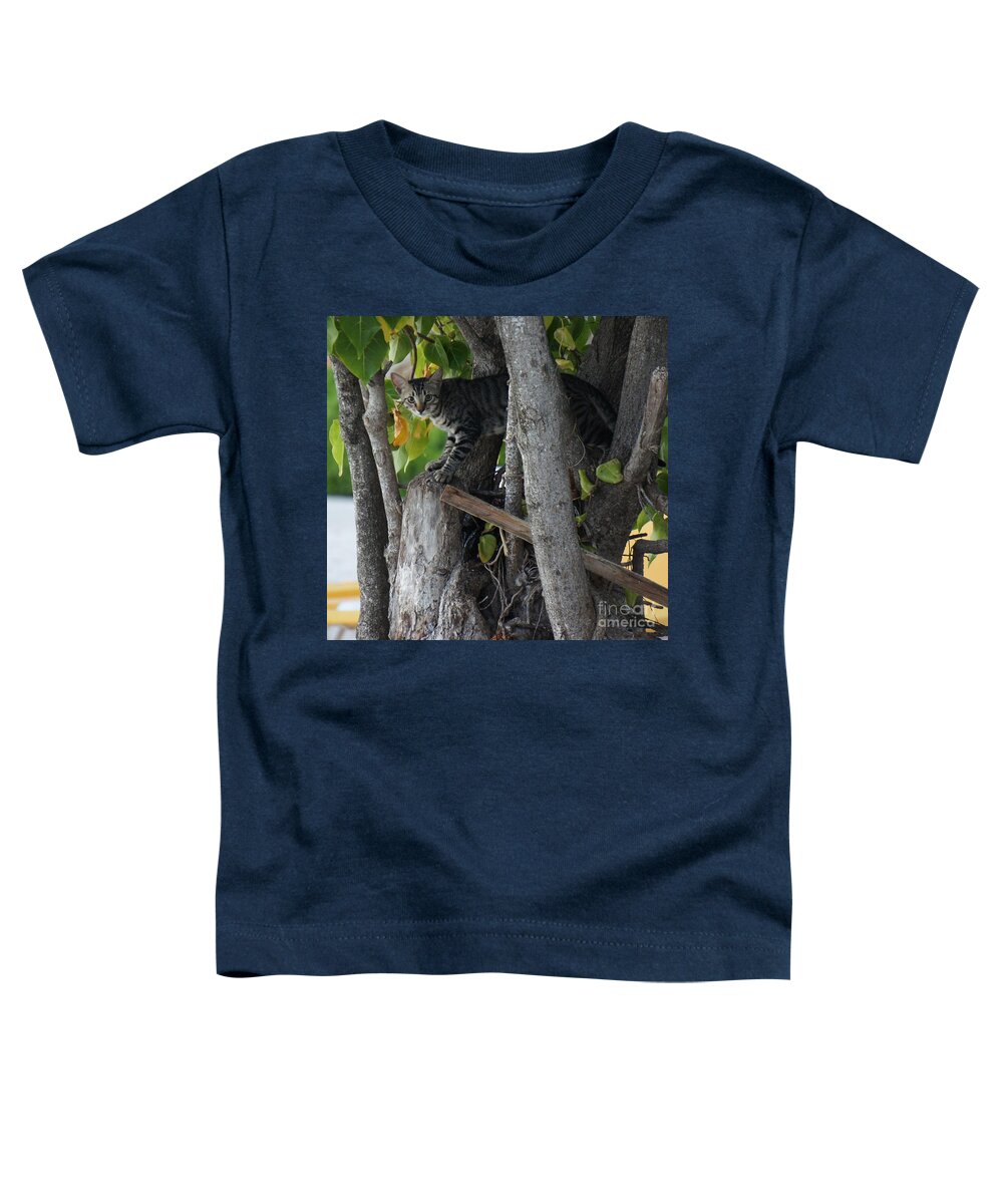 Beach Toddler T-Shirt featuring the photograph Beach Tiger by Lilliana Mendez