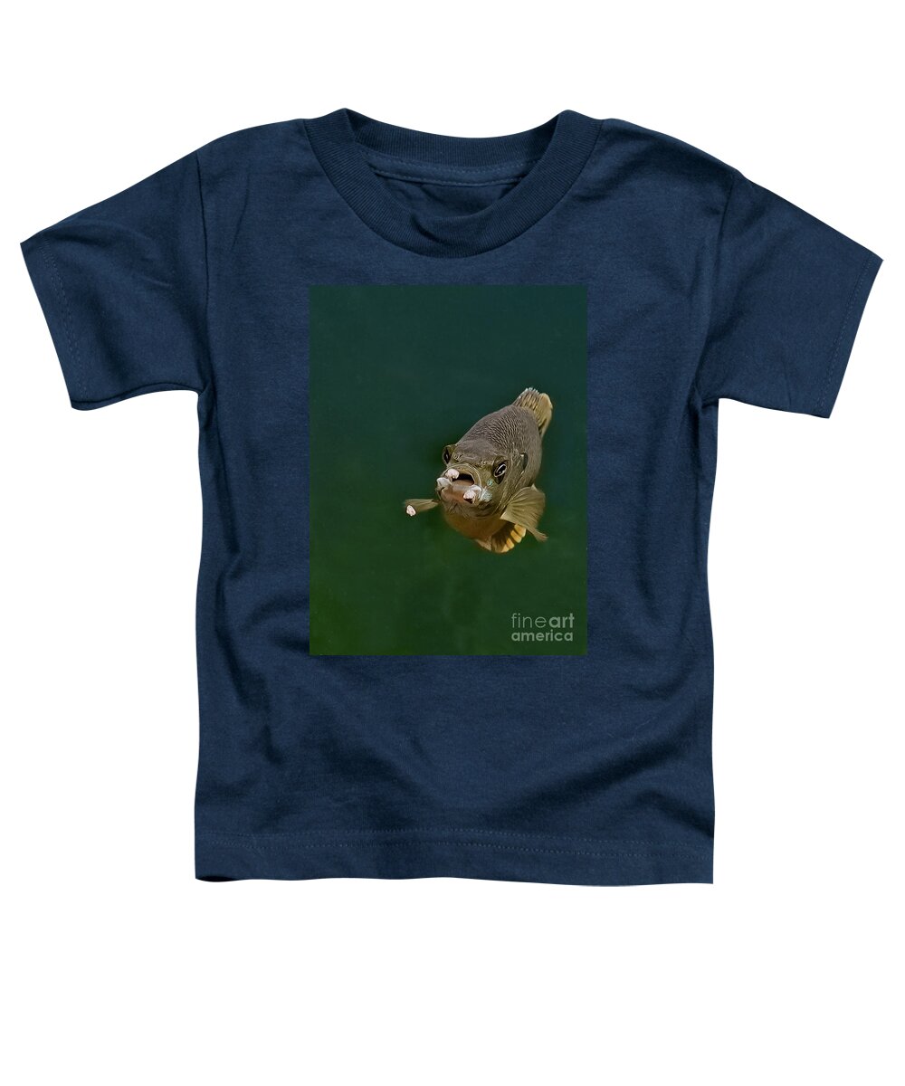 Blue Gill Toddler T-Shirt featuring the photograph Blue Gill Feeding by Gwen Gibson