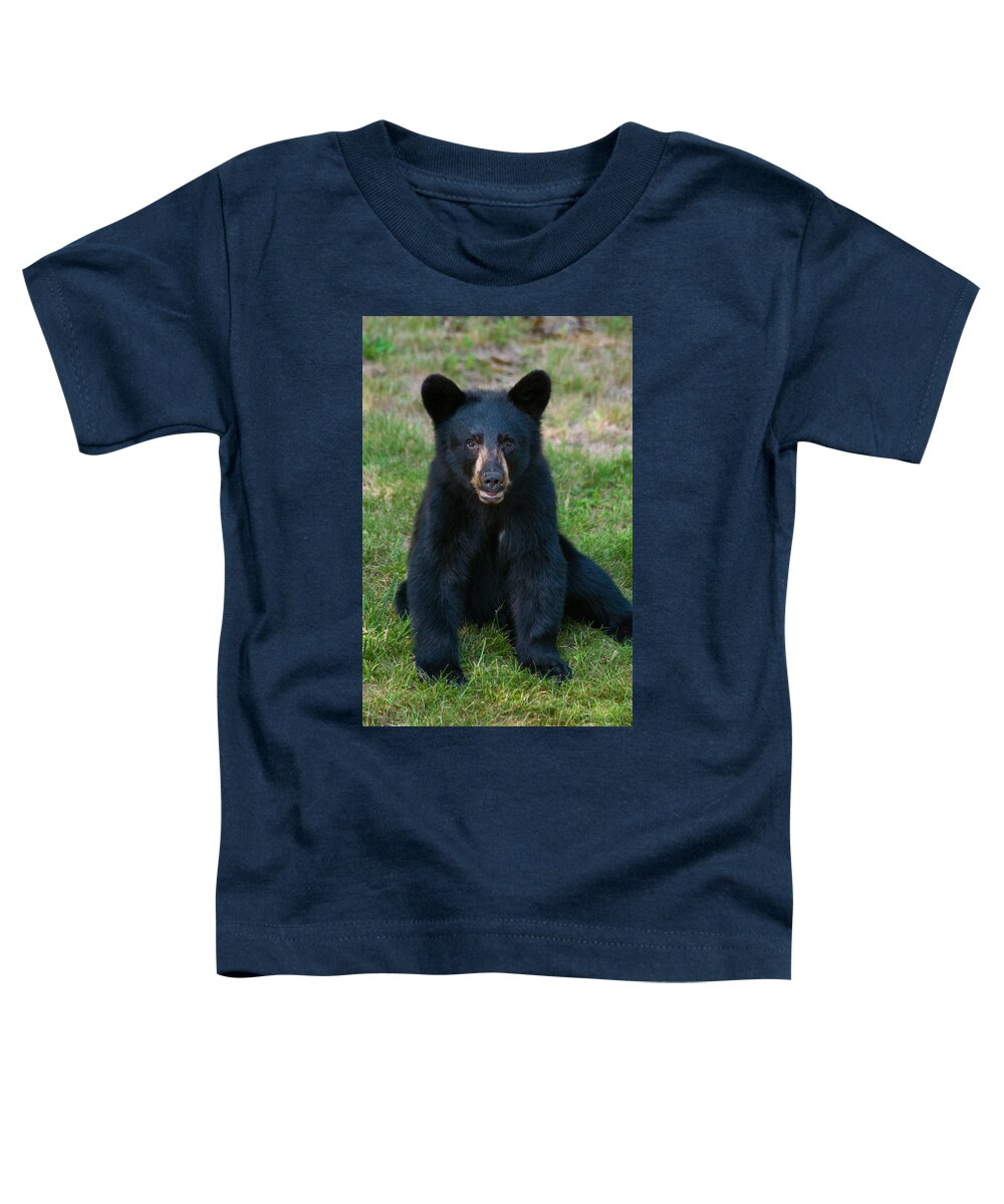 Black Bear Toddler T-Shirt featuring the photograph Boo-Boo the Little Black Bear Cub by Brenda Jacobs