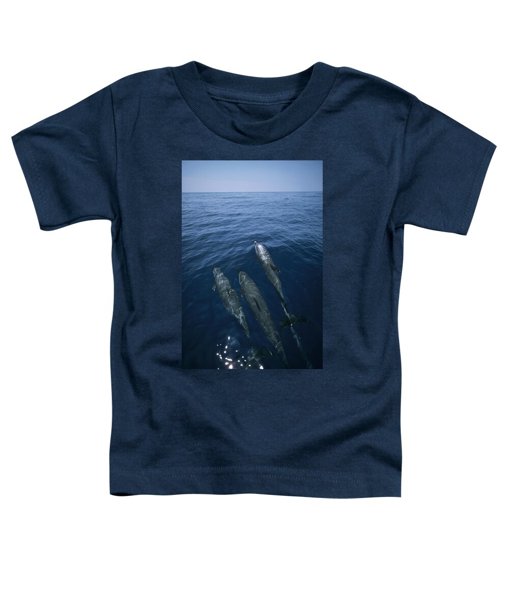 Feb0514 Toddler T-Shirt featuring the photograph Bottlenose Dolphins Surfacing Shark Bay by Flip Nicklin
