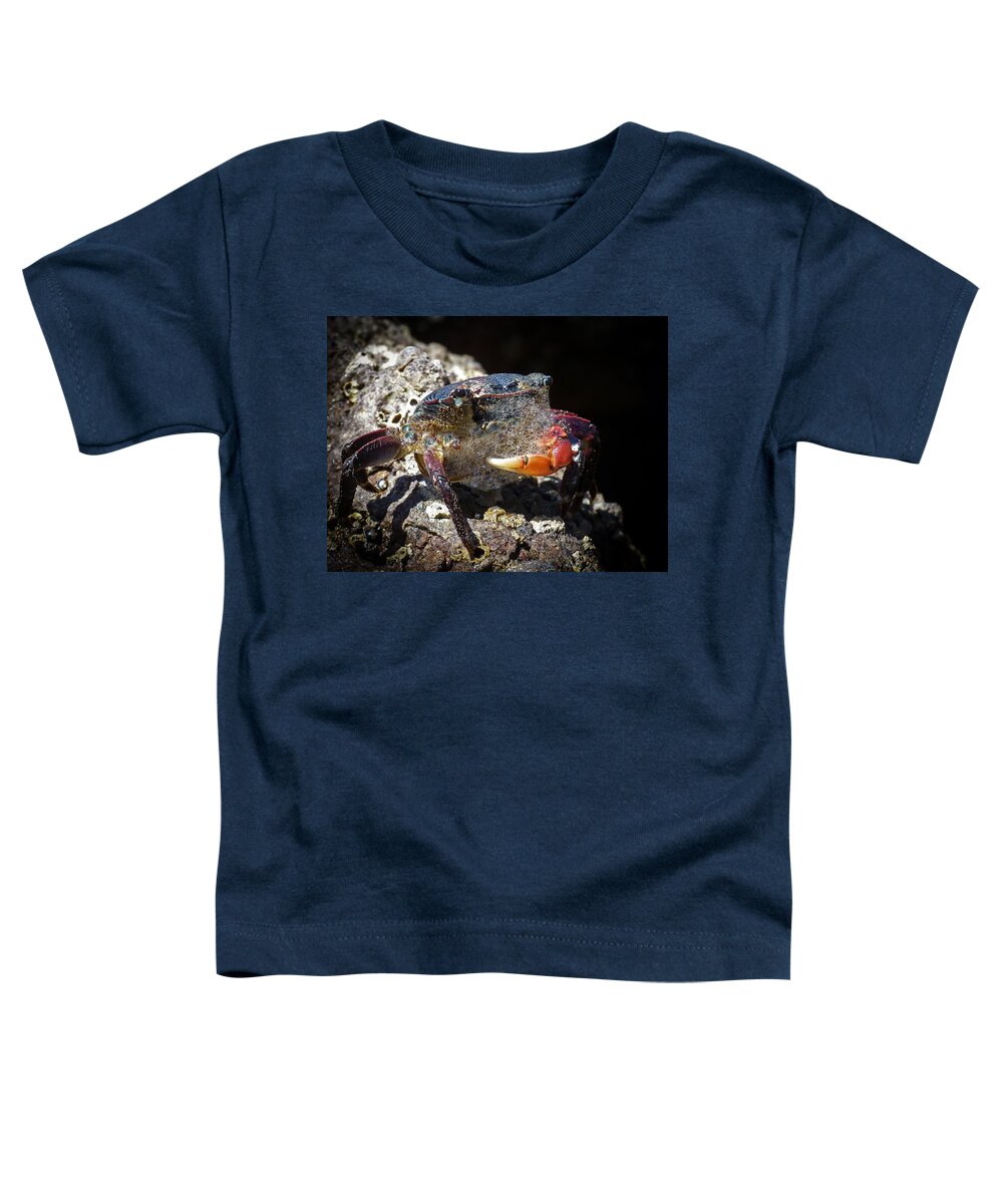 The Crab Toddler T-Shirt featuring the photograph Bubbles the Crab by Ernest Echols