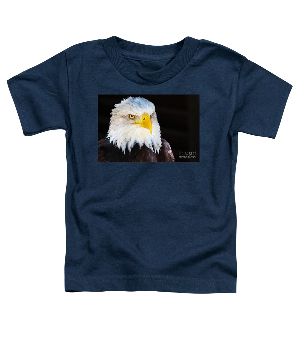 Alaska Toddler T-Shirt featuring the photograph Closeup portrait of an American Bald Eagle by Nick Biemans