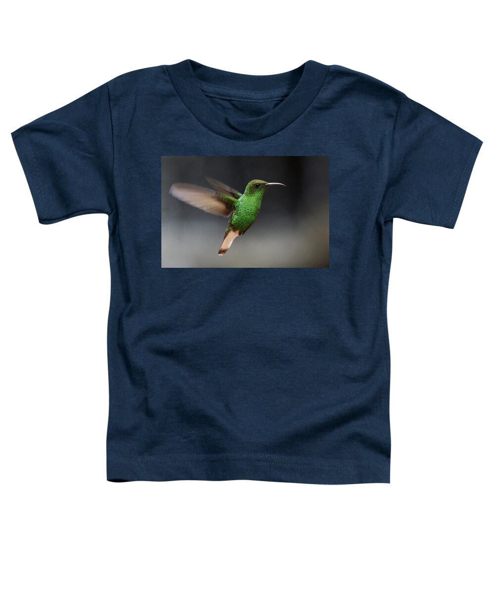 Feb0514 Toddler T-Shirt featuring the photograph Coppery-headed Emerald Hummingbird by Hiroya Minakuchi
