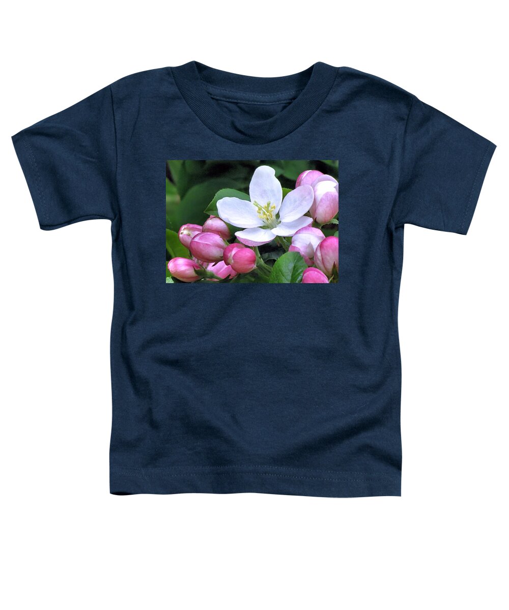 Crabapple Toddler T-Shirt featuring the photograph Crabapple by Janice Drew