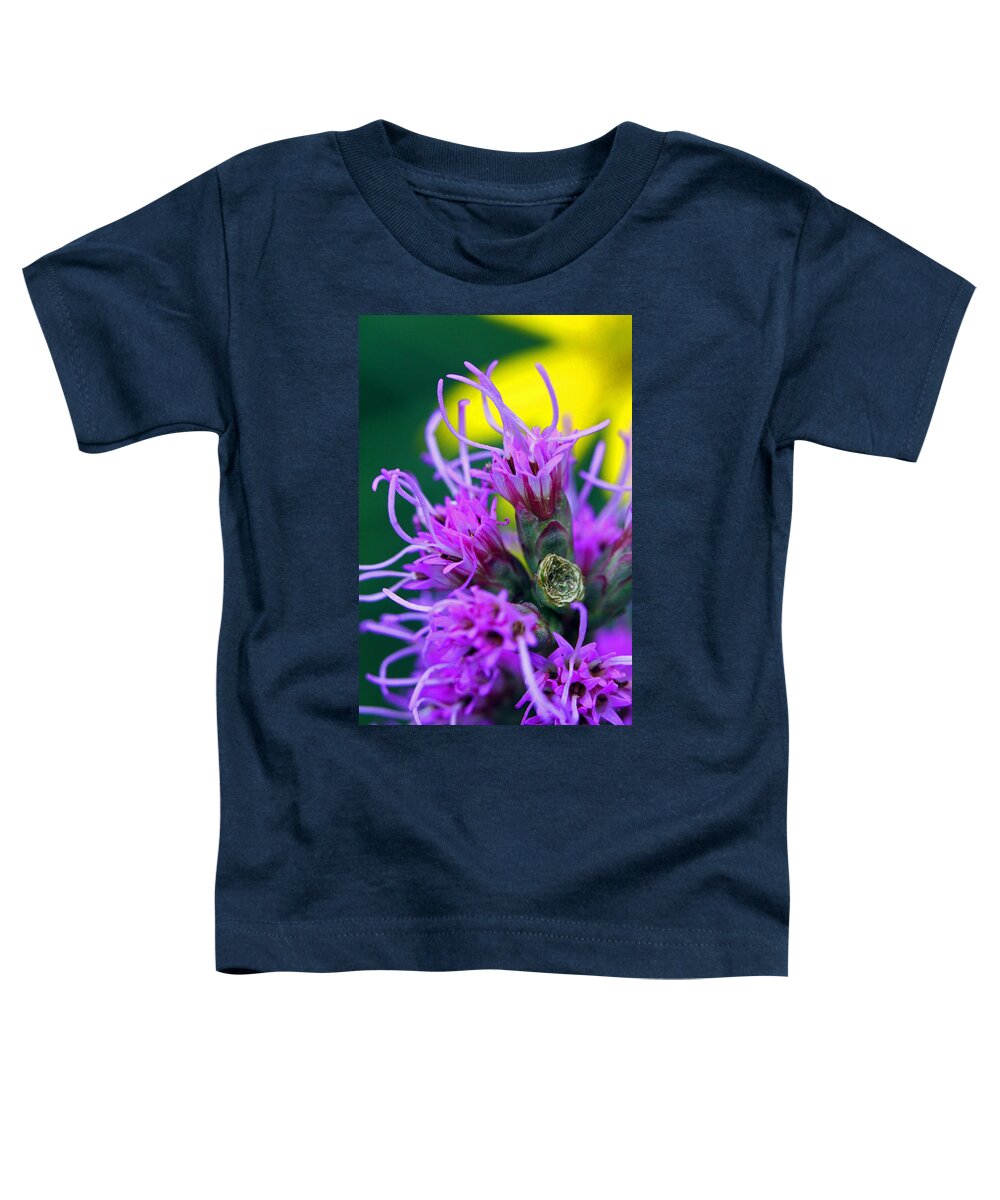 Flowers Toddler T-Shirt featuring the photograph Crazy in Color by Jennifer Robin