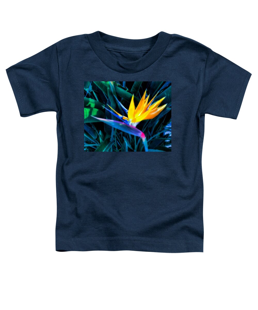 Hawaii Toddler T-Shirt featuring the photograph Enchanting Gardens 36 by Dawn Eshelman