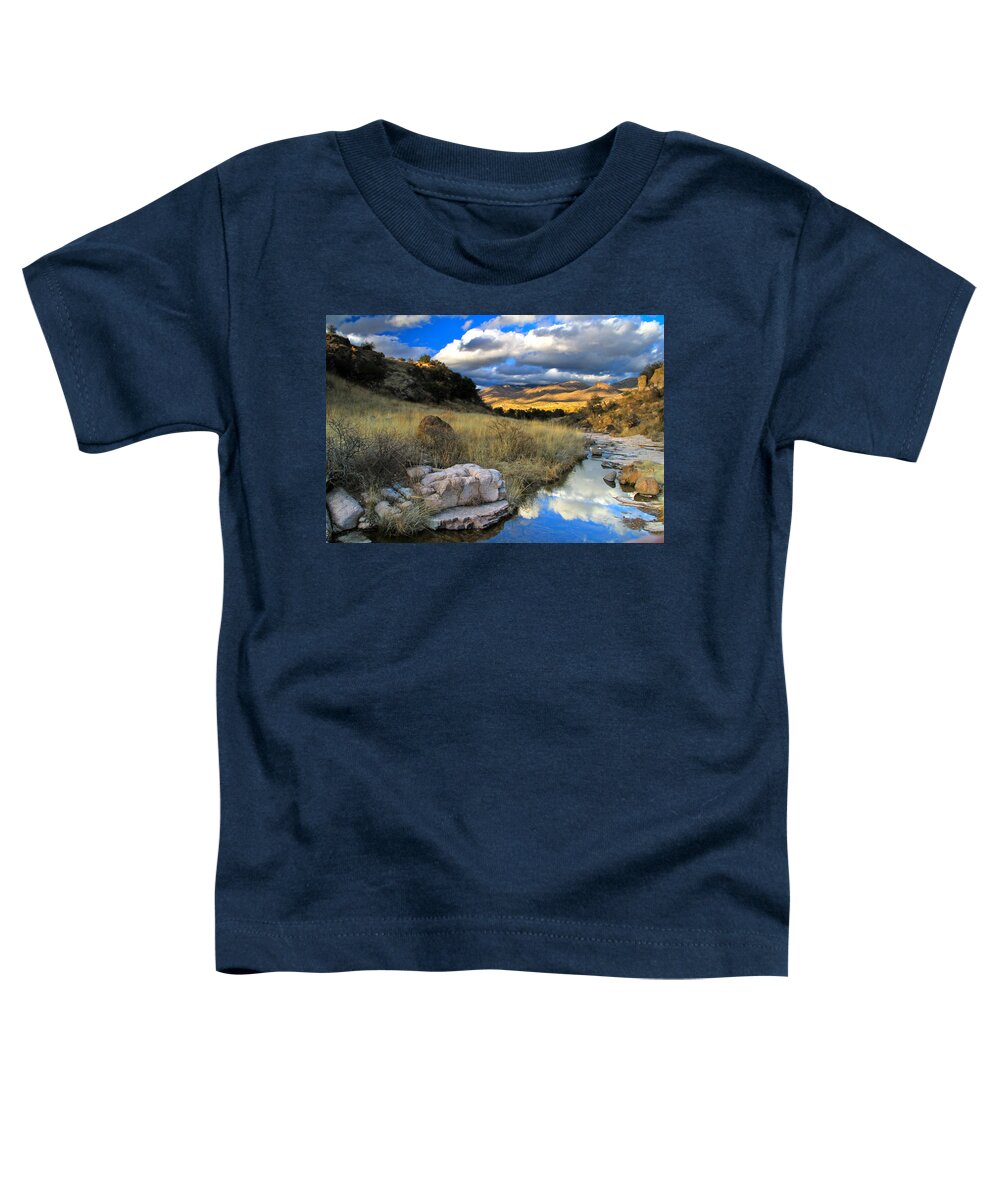 Sonoran Desert Toddler T-Shirt featuring the photograph Grosvenor Hills Sunset by Ed Riche