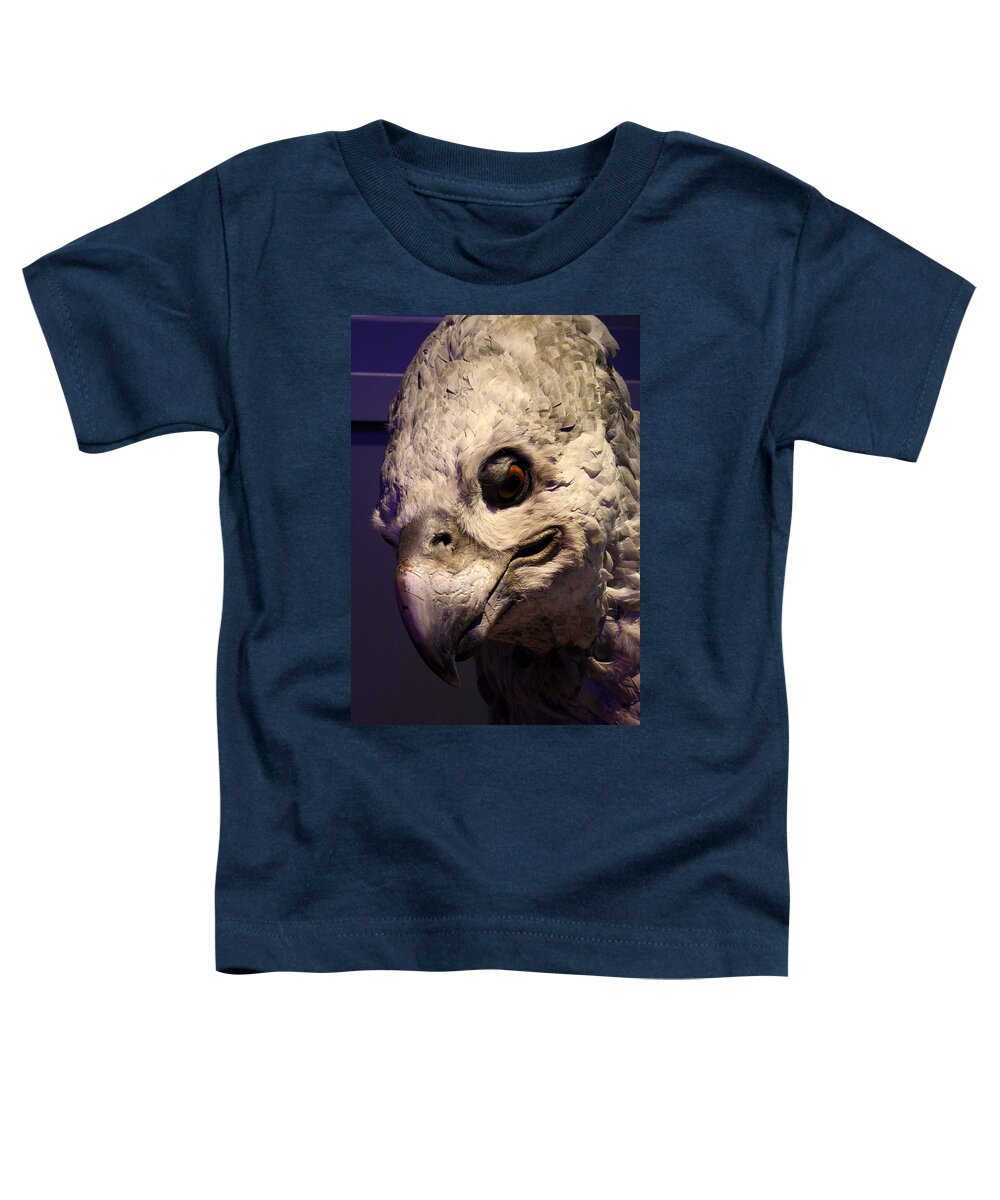 Harry Potter Toddler T-Shirt featuring the photograph Hippogriff by David Nicholls