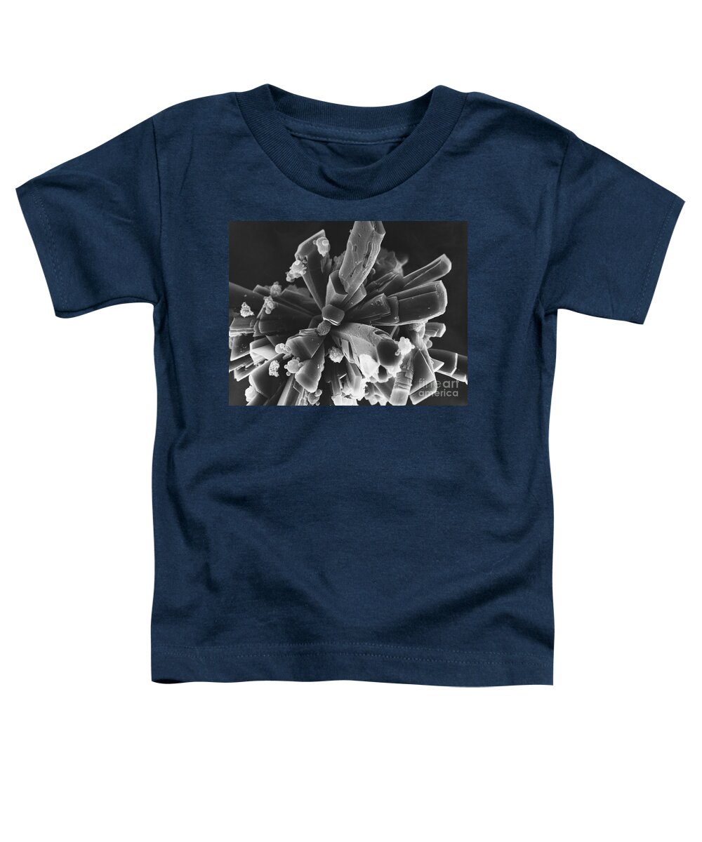 Histology Toddler T-Shirt featuring the photograph Human Cells Growing On Glass Crystals by David M. Phillips