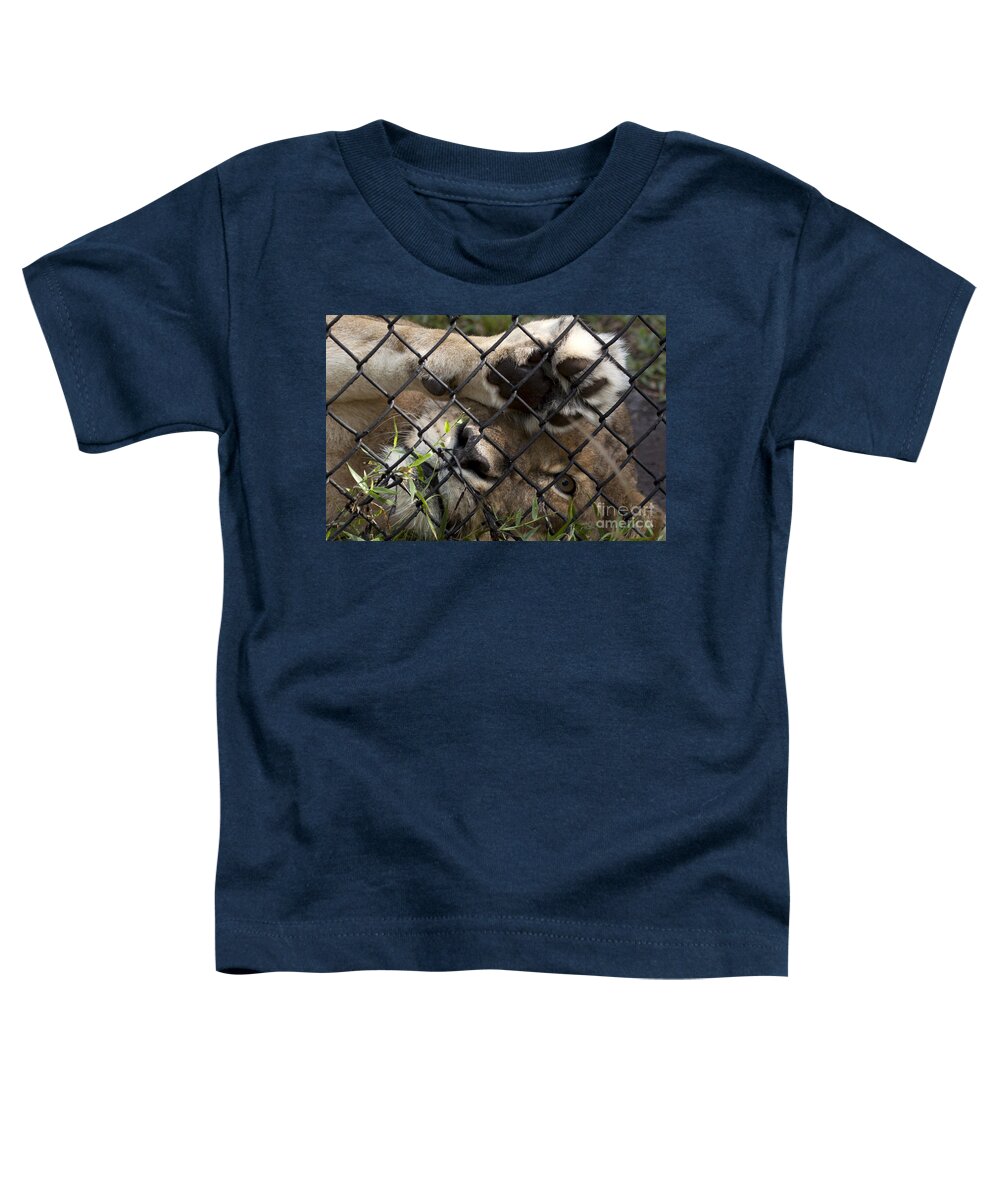 African Lion Toddler T-Shirt featuring the photograph I Want To Go Home - Female African Lion by Meg Rousher
