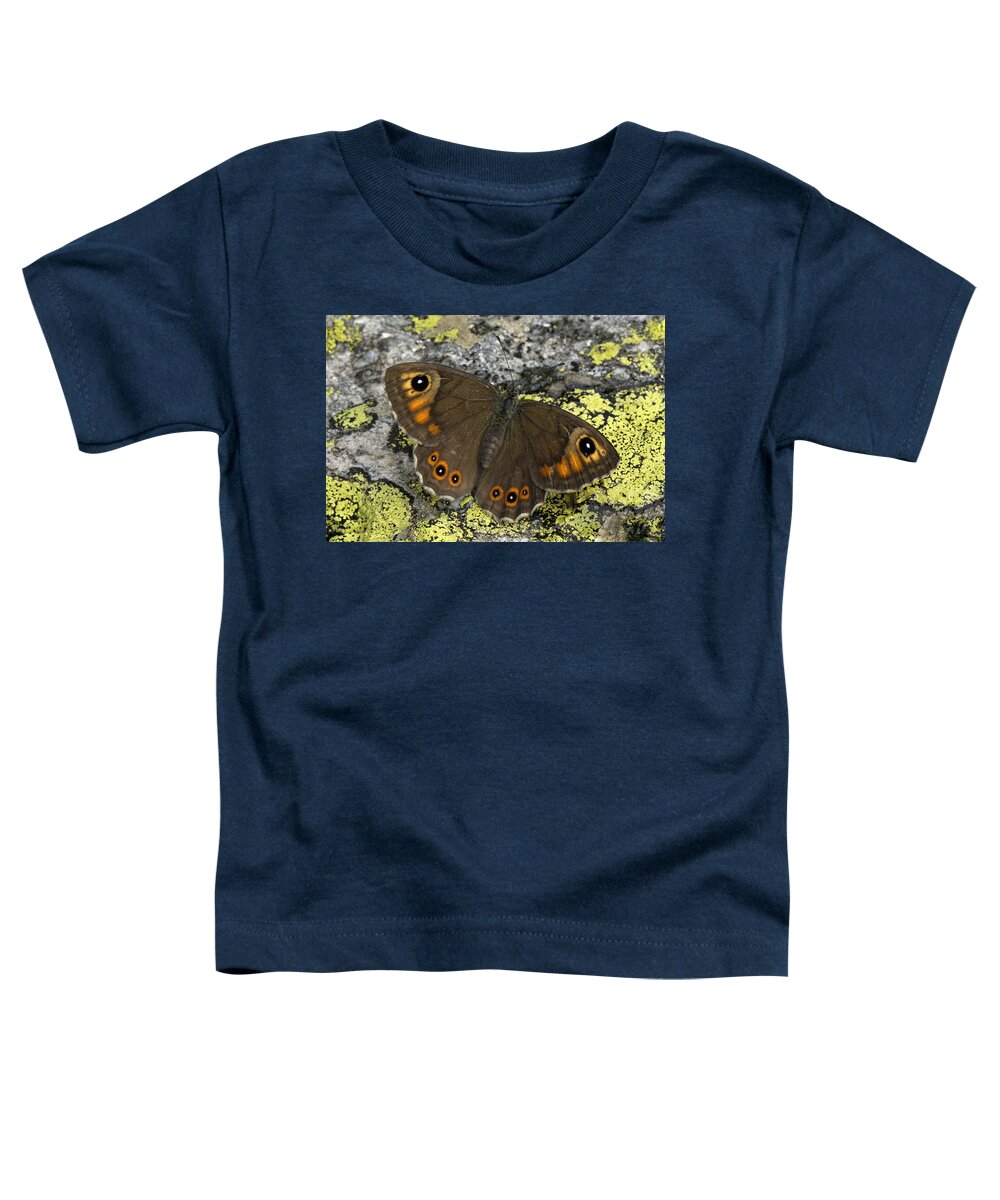 Feb0514 Toddler T-Shirt featuring the photograph Large Wall Brown Butterfly Switzerland by Thomas Marent