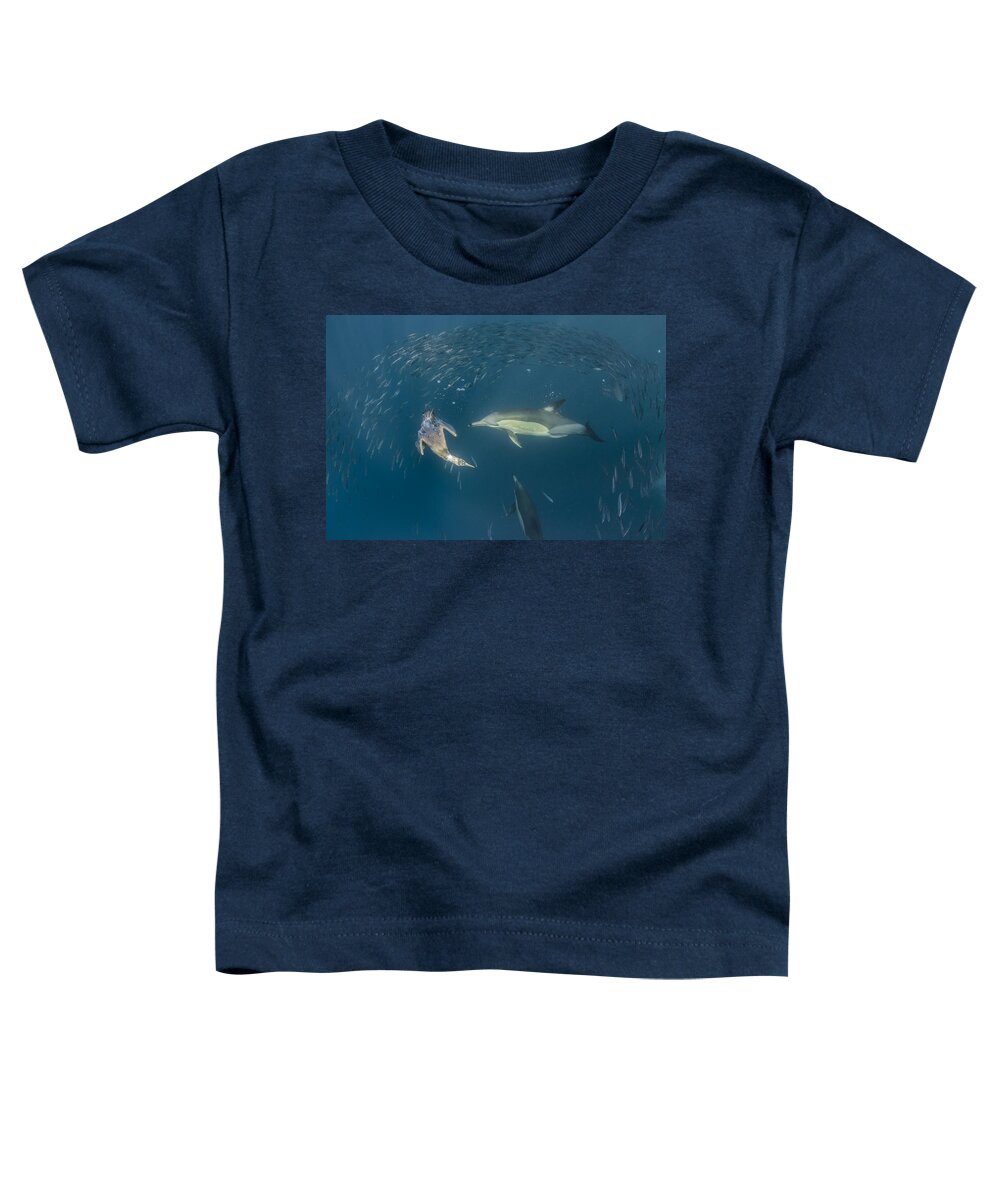 Feb0514 Toddler T-Shirt featuring the photograph Long-beaked Common Dolphins And Cape by Pete Oxford