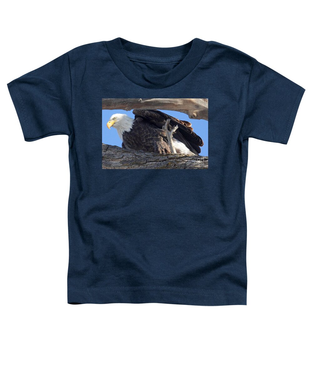 Colorado Toddler T-Shirt featuring the photograph On Guard by Bob Hislop
