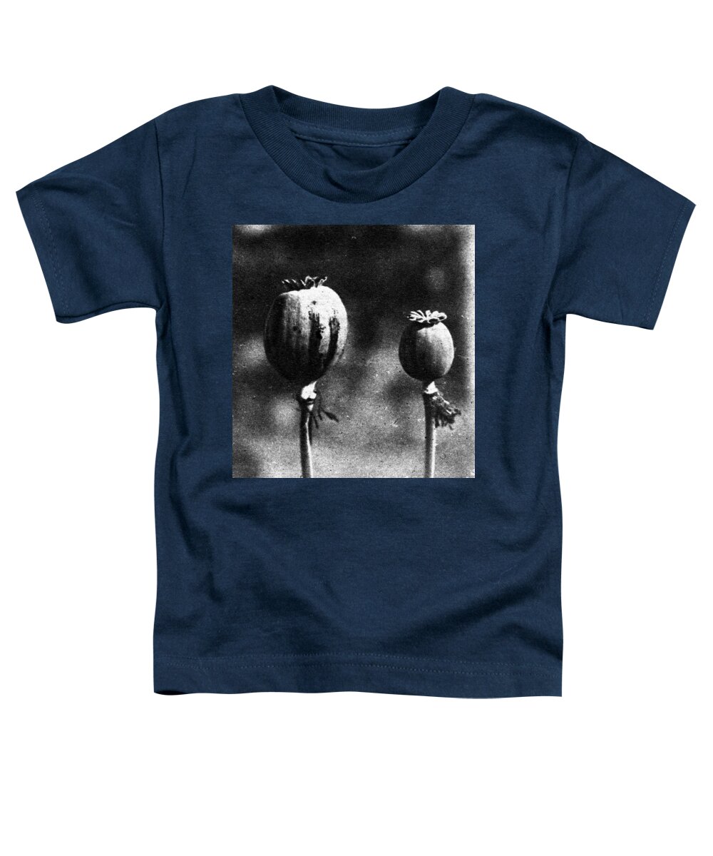1924 Toddler T-Shirt featuring the photograph Opium Poppies by Granger