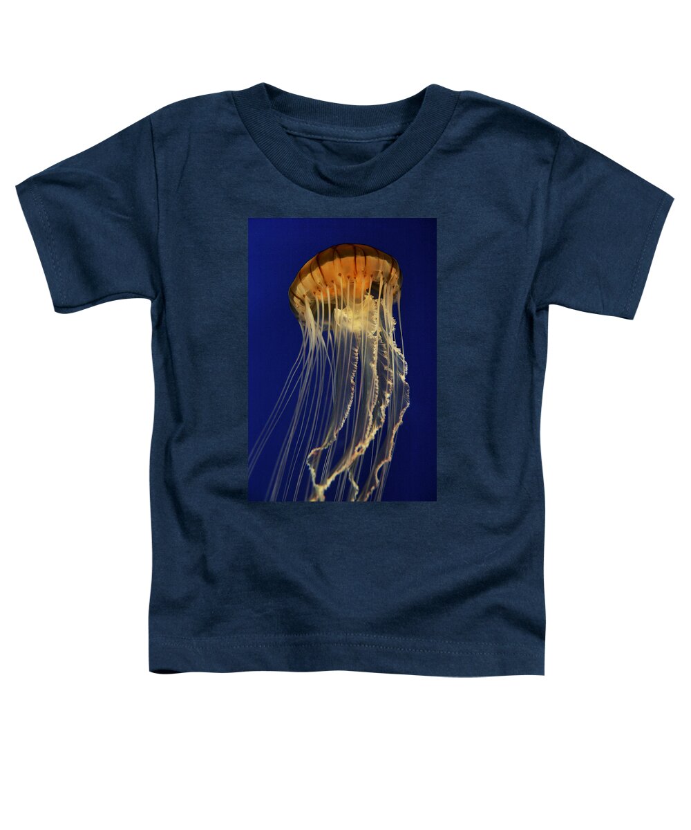 Feb0514 Toddler T-Shirt featuring the photograph Pacific Sea Nettle by Hiroya Minakuchi