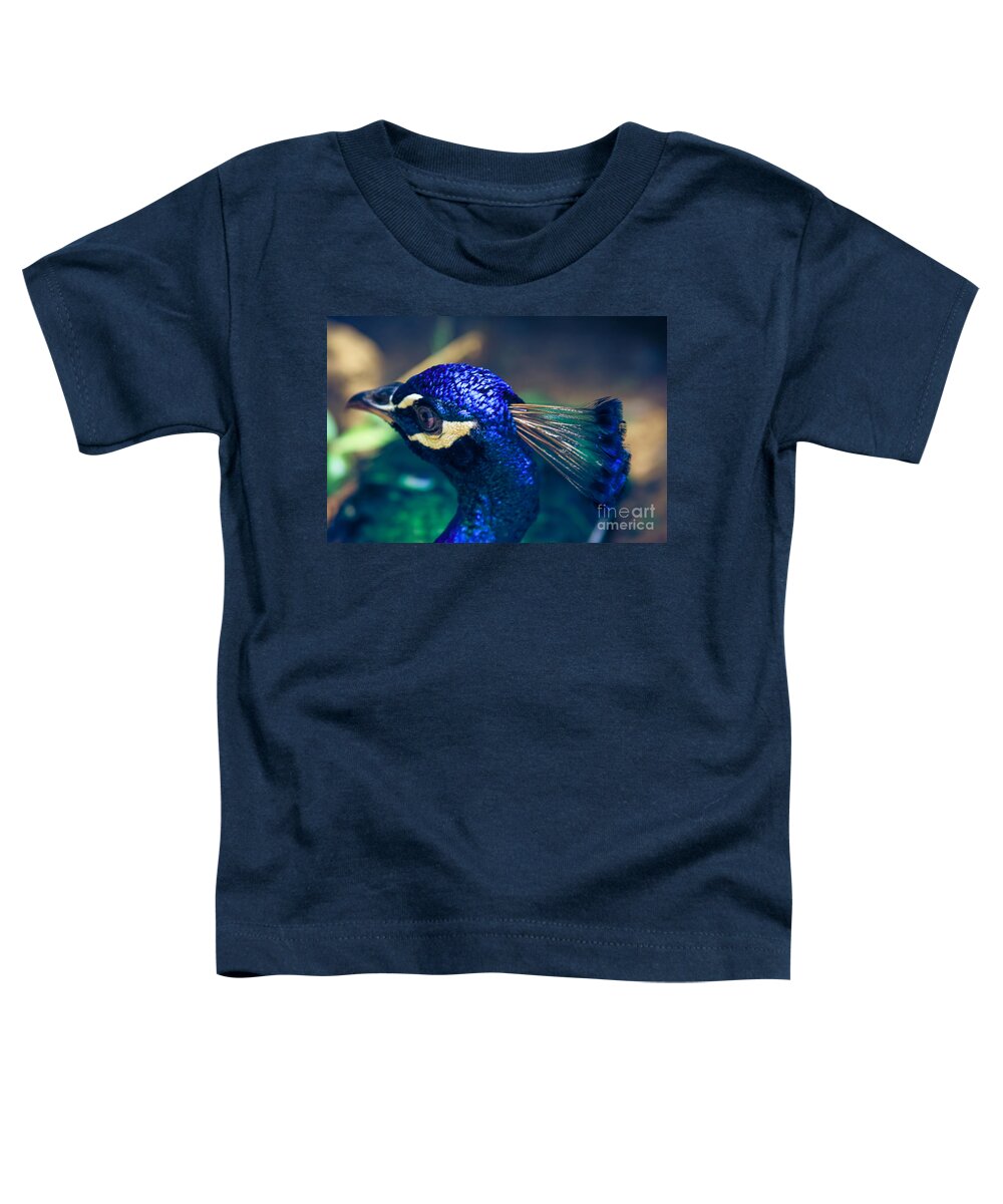 Peacock Indian Blue Toddler T-Shirt featuring the photograph Pavo cristatus - Indian Blue Peacock - Maui Hawaii by Sharon Mau