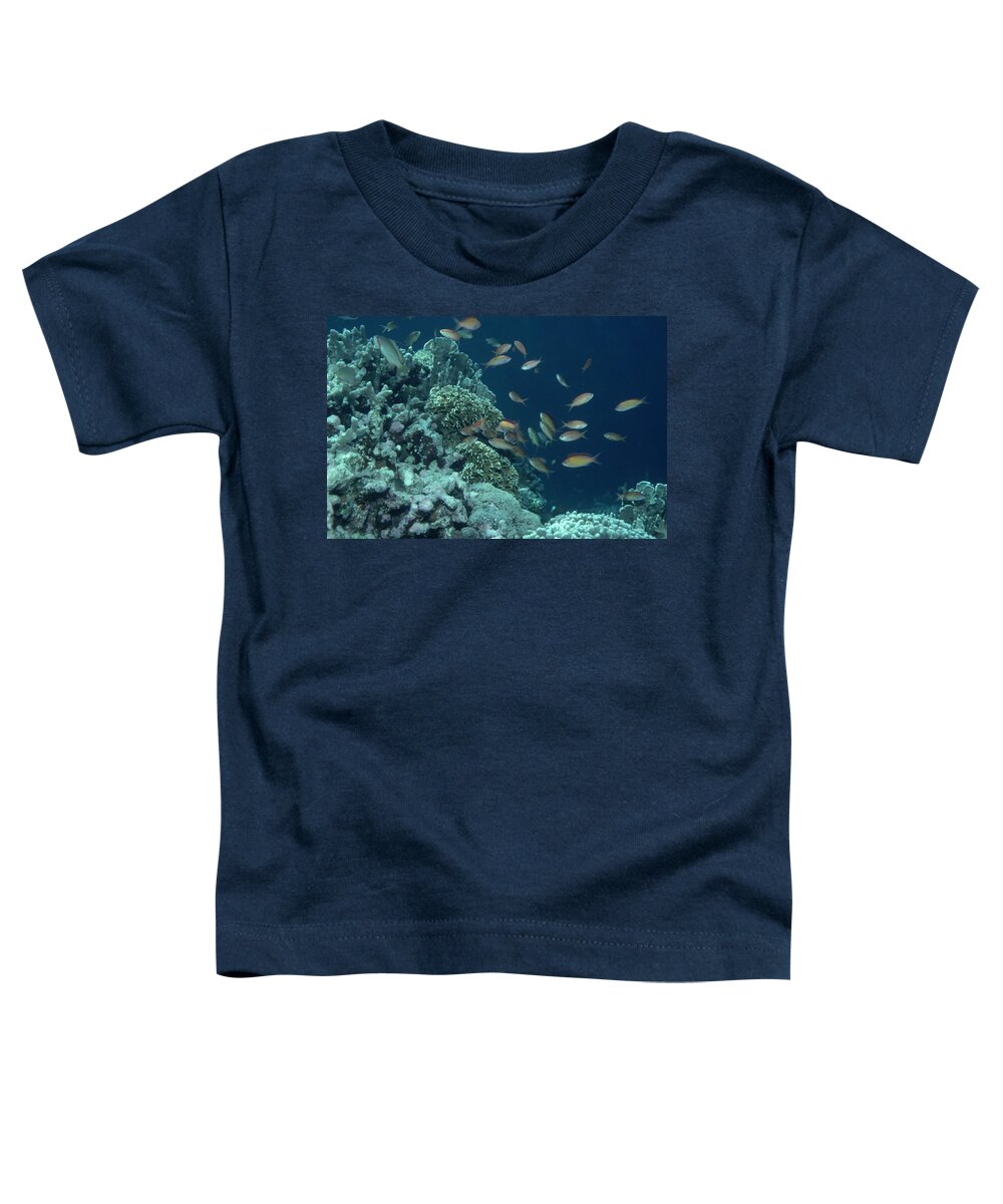 Acropora Toddler T-Shirt featuring the photograph Philippines Coral Reef by Greg Ochocki