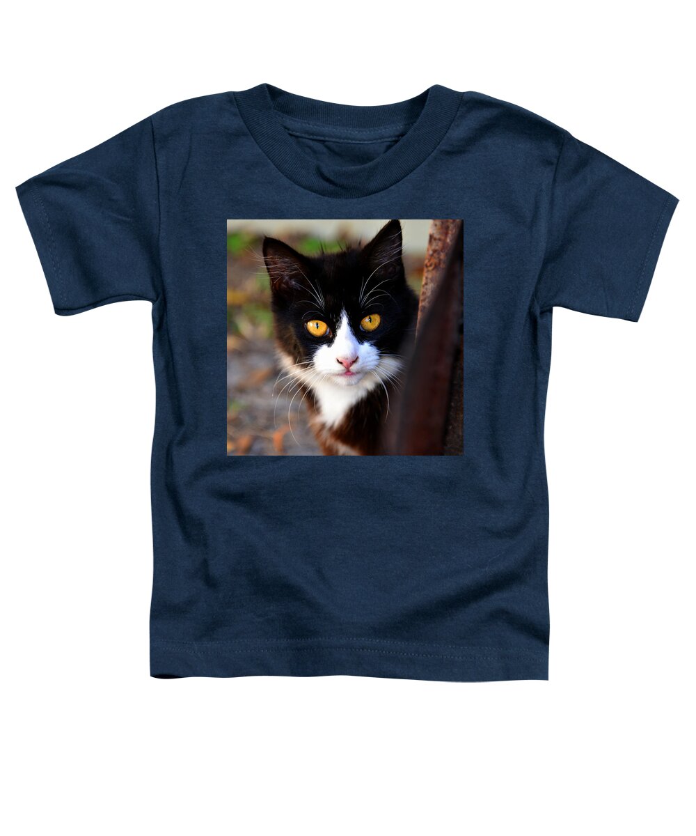 Proud Toddler T-Shirt featuring the photograph Proud Cat by David Lee Thompson