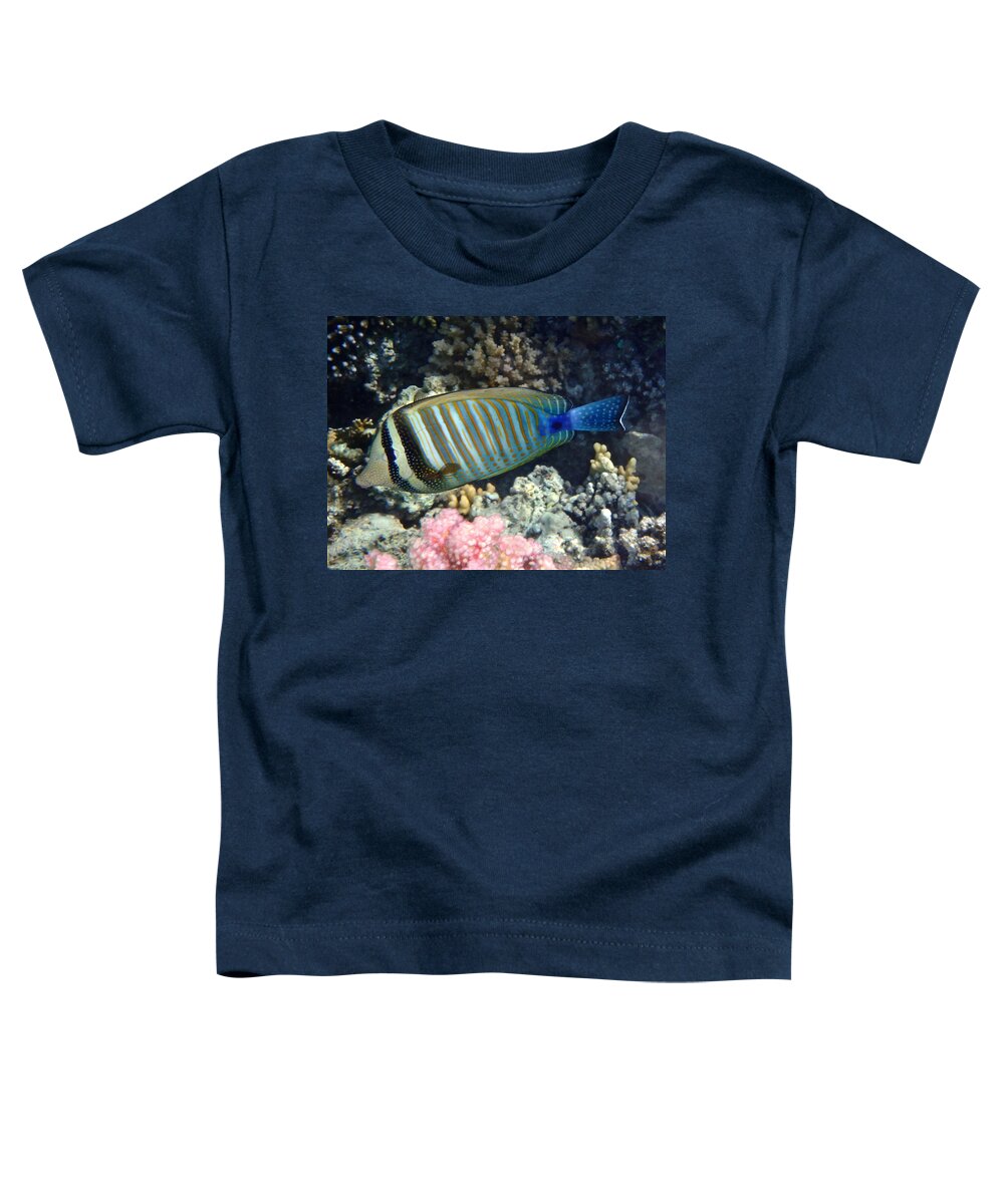 Sea Toddler T-Shirt featuring the photograph Red Sea Beauty Zebrasoma by Johanna Hurmerinta