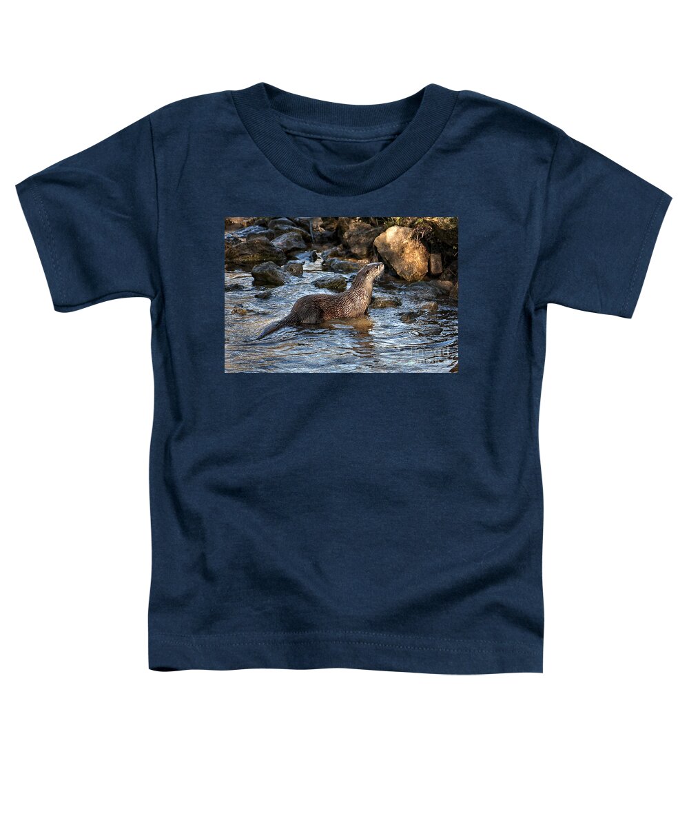 Brookgreen Toddler T-Shirt featuring the photograph River Otter by Ronald Lutz