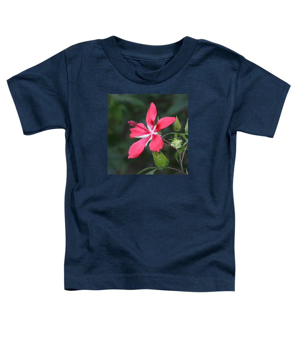 Scarlet Toddler T-Shirt featuring the photograph Scarlet Hibiscus #3 by Paul Rebmann