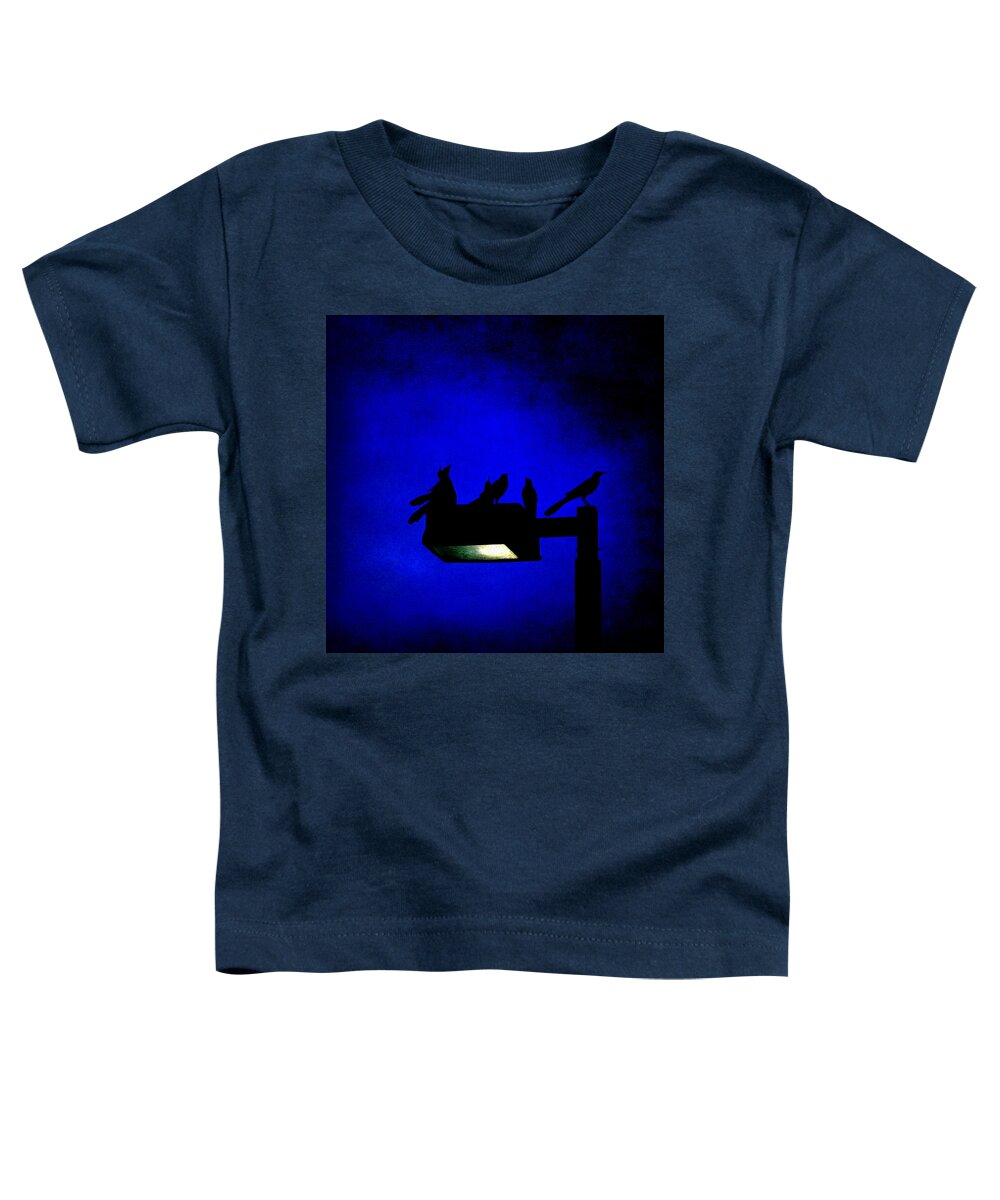 Birds Toddler T-Shirt featuring the photograph Sleepless at Midnight by Trish Mistric