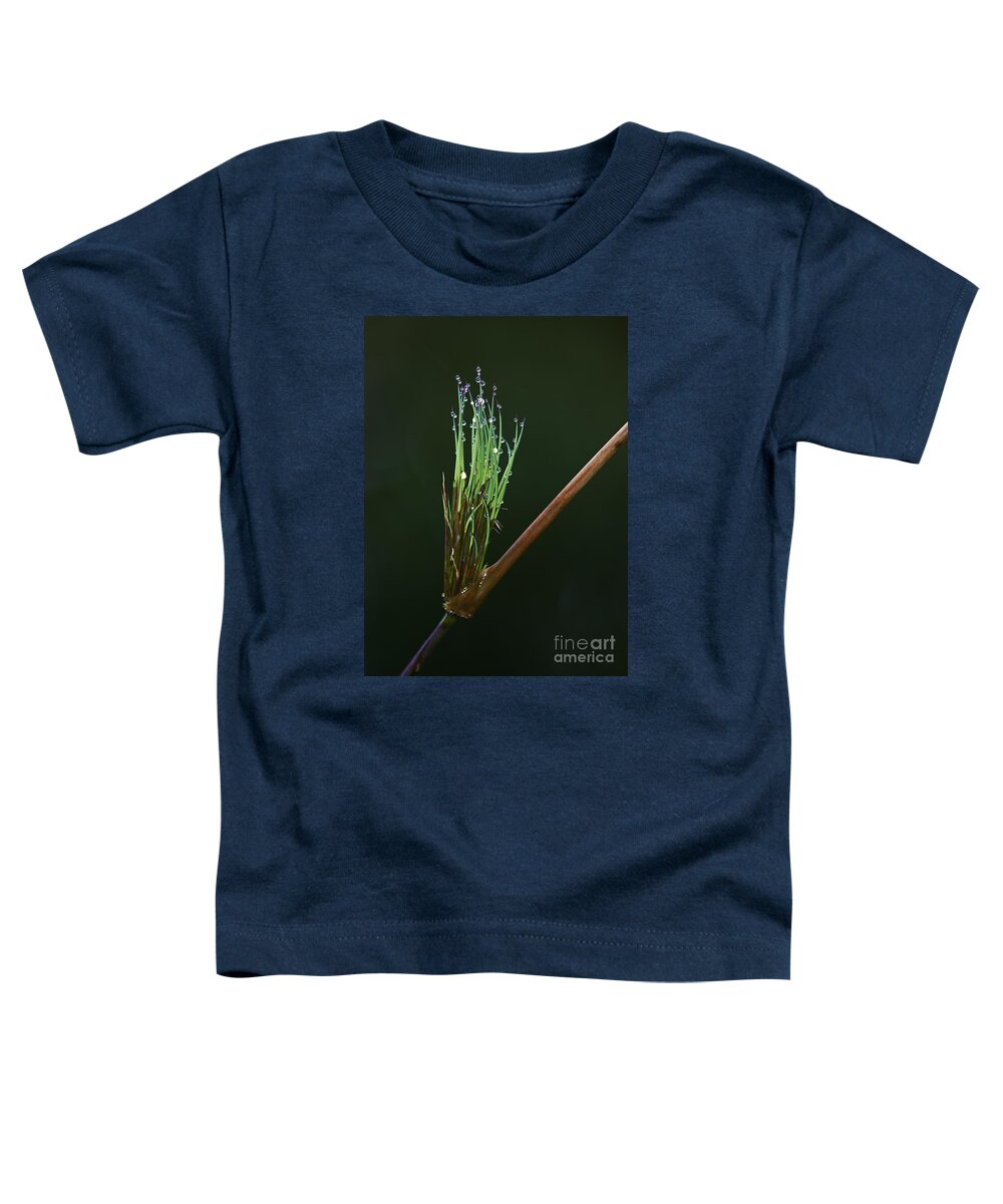 Festblues Toddler T-Shirt featuring the photograph Spiritualism in Nature... by Nina Stavlund