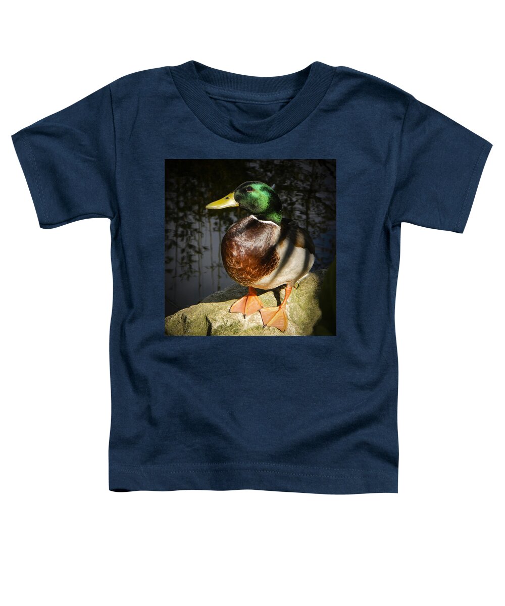  : Penny Lisowski Toddler T-Shirt featuring the photograph This Is My Best Side by Penny Lisowski