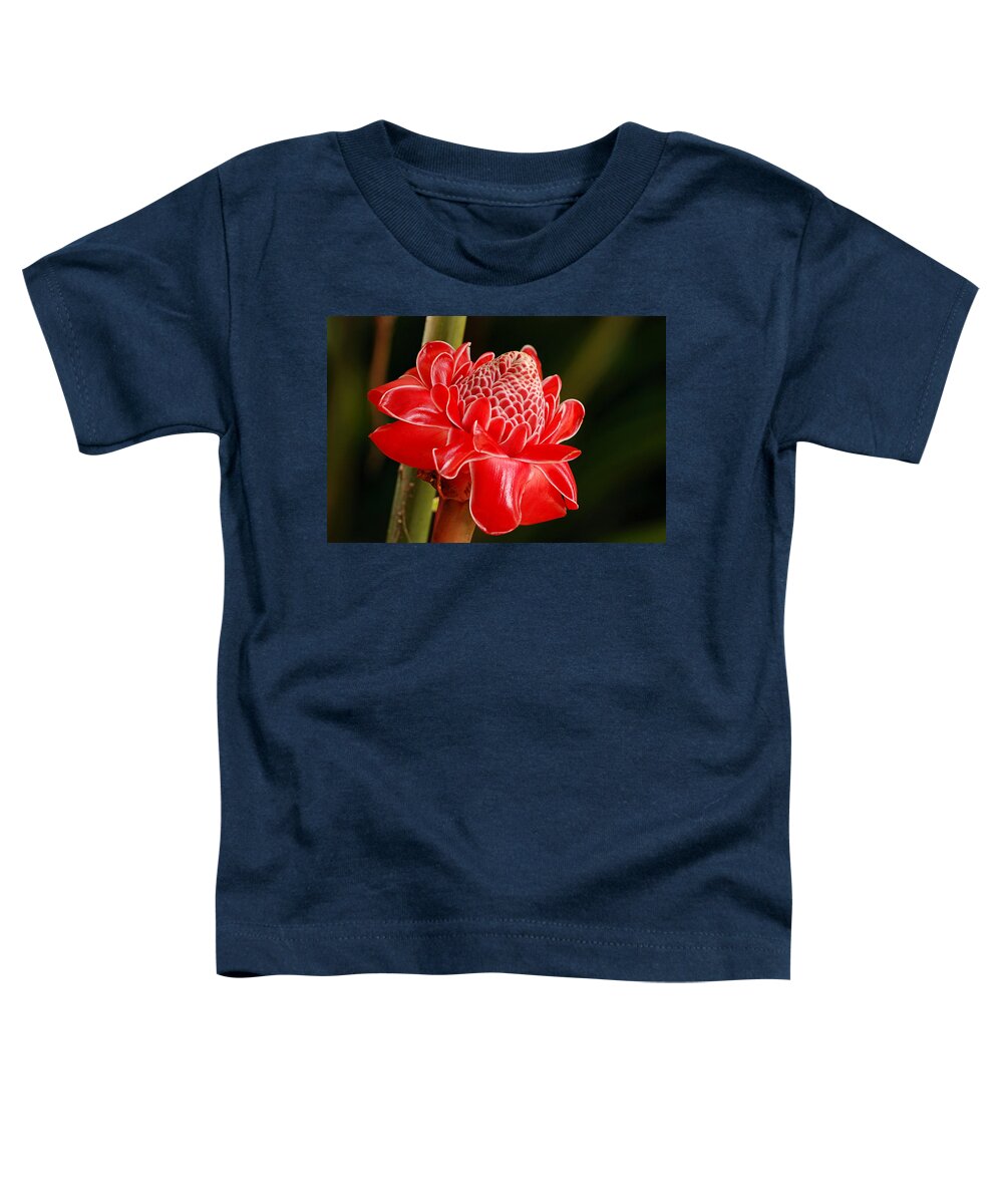 Nature Toddler T-Shirt featuring the photograph Torch Ginger by Lorenzo Cassina