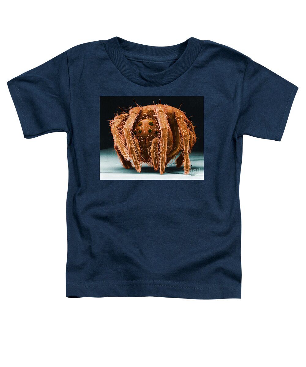 Wolf Spider Toddler T-Shirt featuring the photograph Wolf Spider by David M Phillips