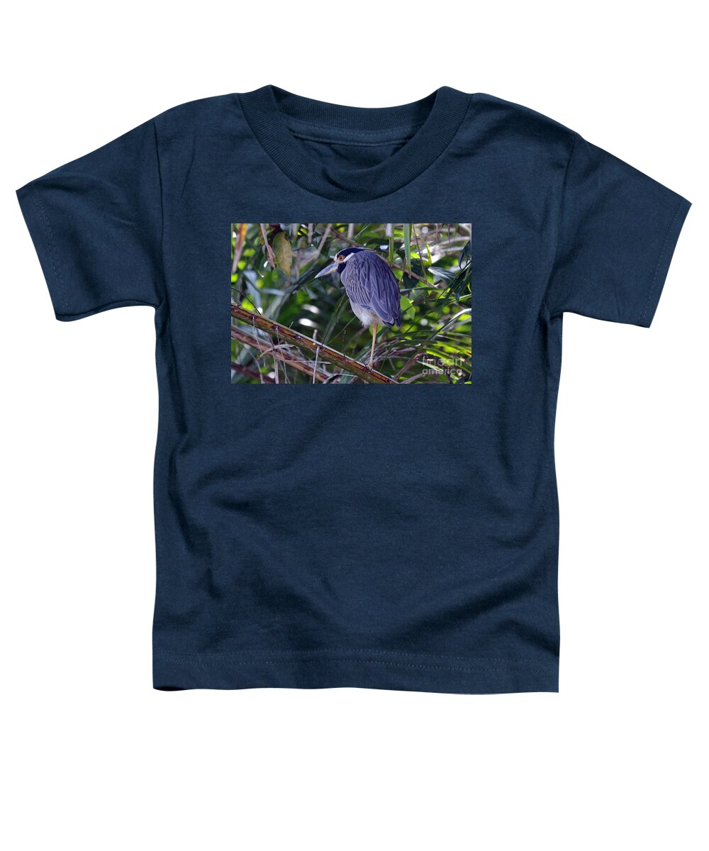 Costa Rica Toddler T-Shirt featuring the photograph Yellow Crowned Night-Heron by Bob Hislop