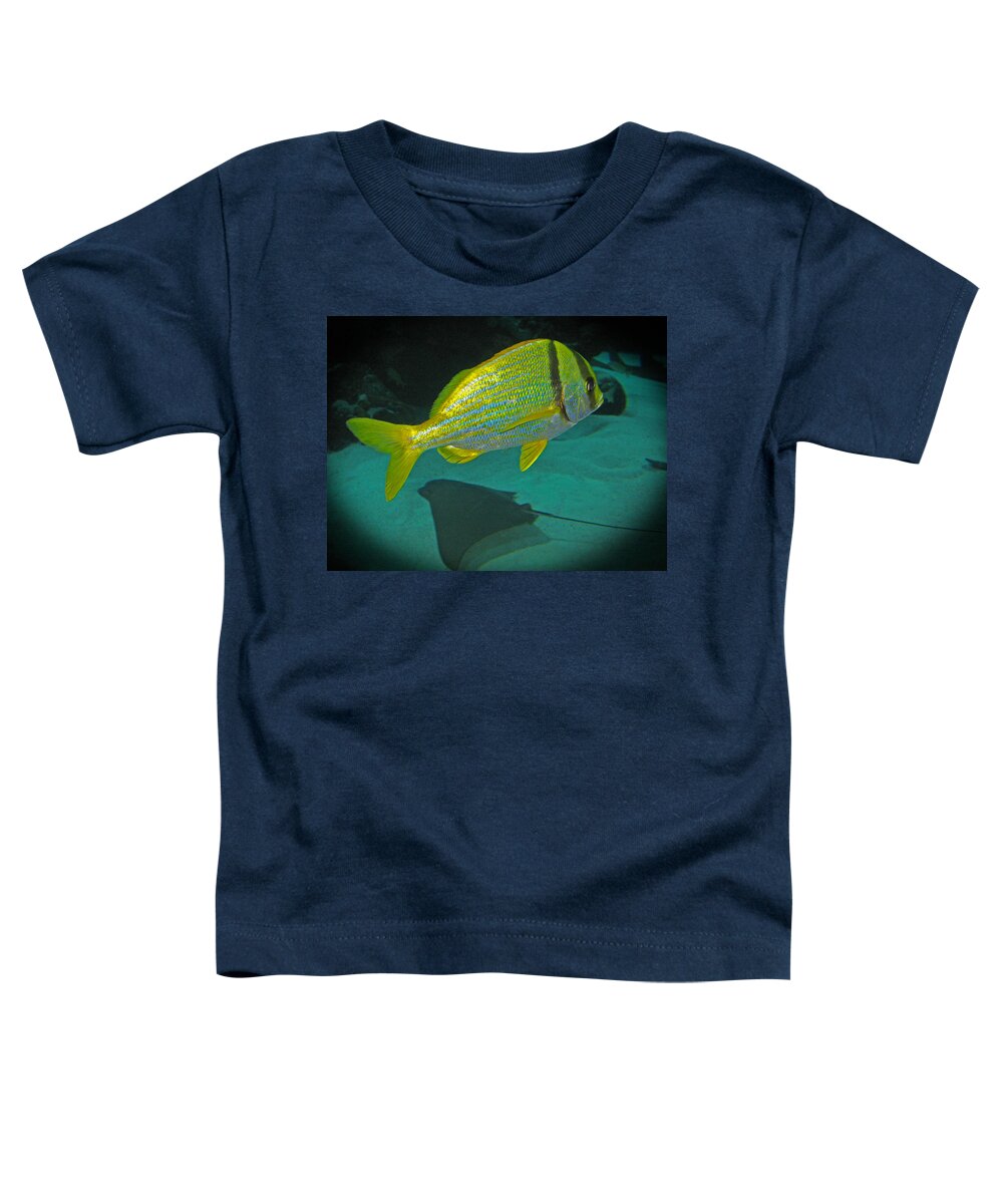 Yellow_fish Toddler T-Shirt featuring the photograph Yellow Striped Fish by Connie Fox