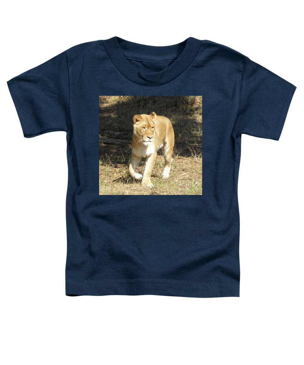 Lioness Toddler T-Shirt featuring the photograph Lioness #1 by Kim Galluzzo