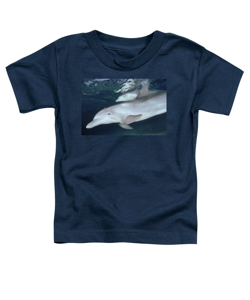00087640 Toddler T-Shirt featuring the photograph Bottlenose Dolphin Underwater Pair #2 by Flip Nicklin