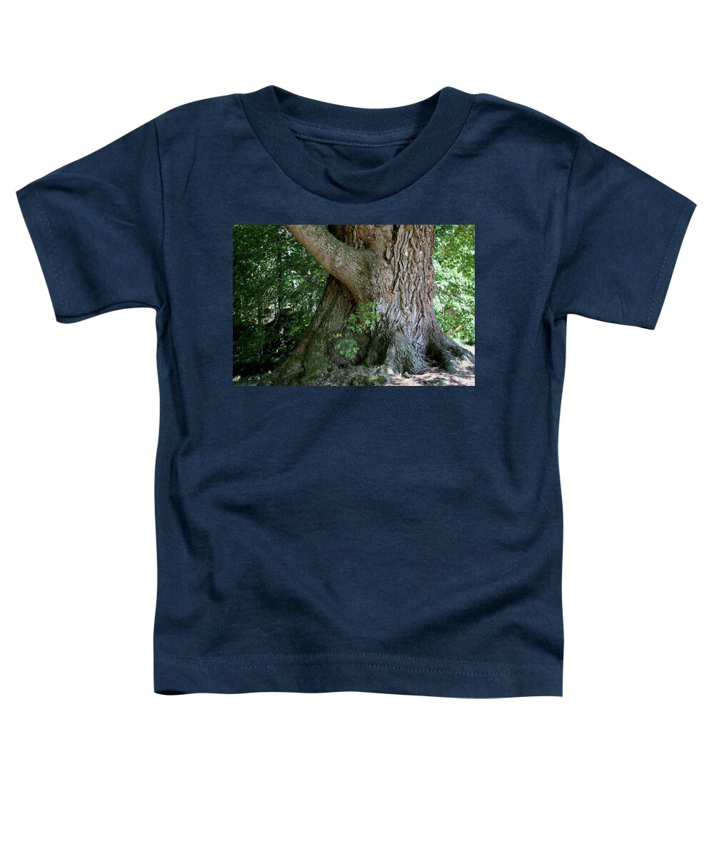 Tree Toddler T-Shirt featuring the photograph Big Fat Tree Trunk by Lorraine Devon Wilke