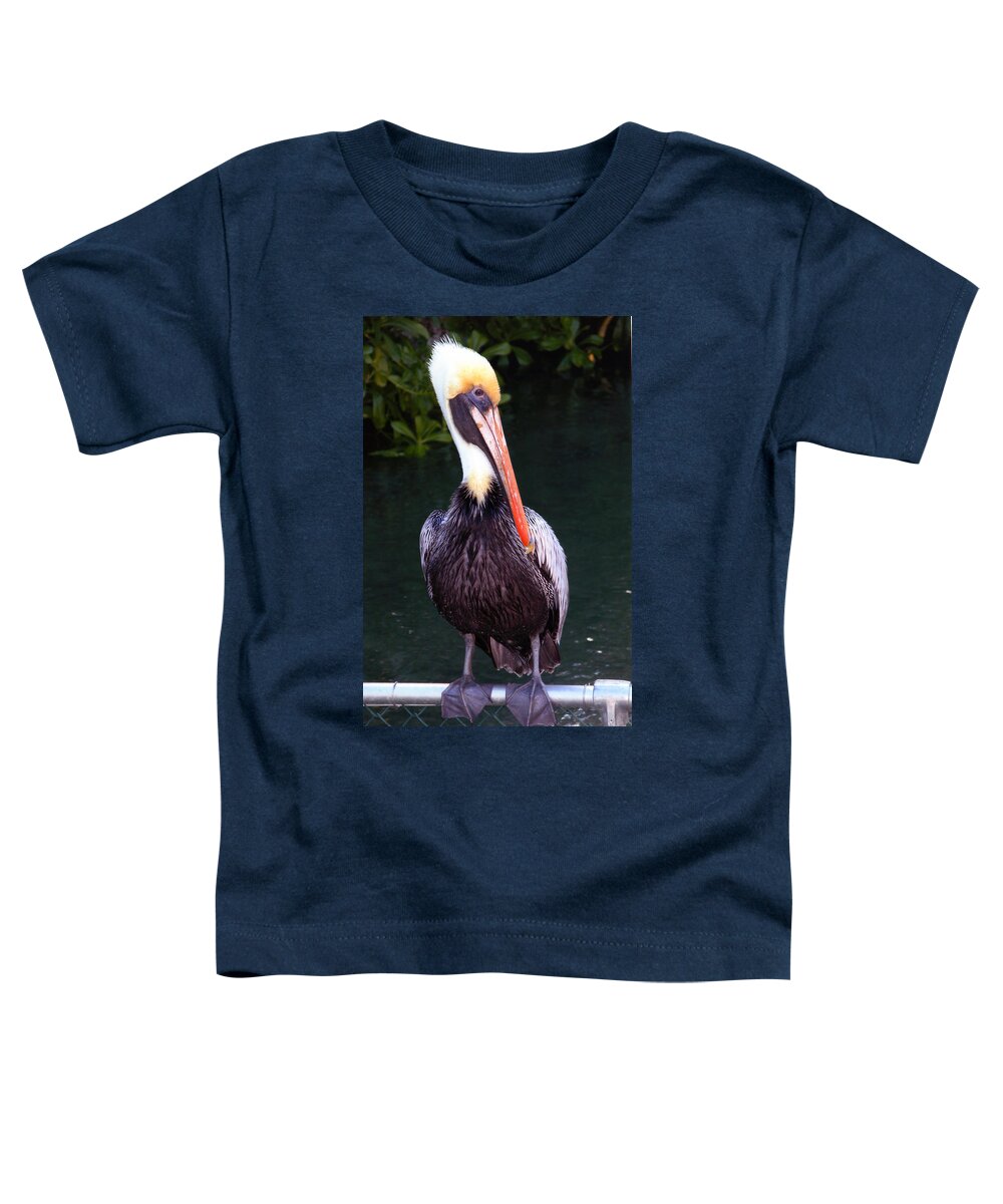 Brown Pelican Toddler T-Shirt featuring the photograph Brown Pelican Islamorada by Maureen E Ritter