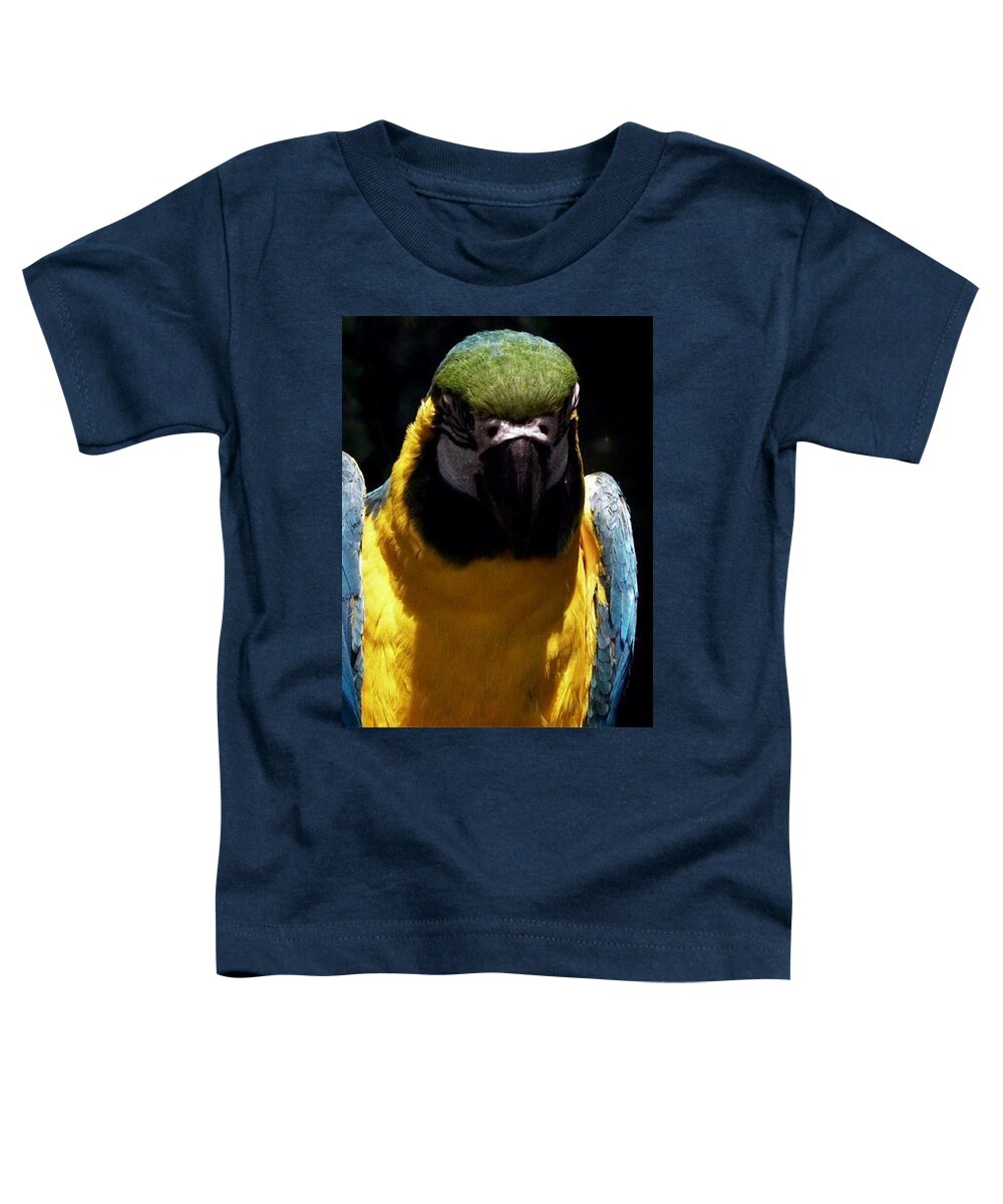 Macaw Toddler T-Shirt featuring the photograph Sleepy by Kim Galluzzo