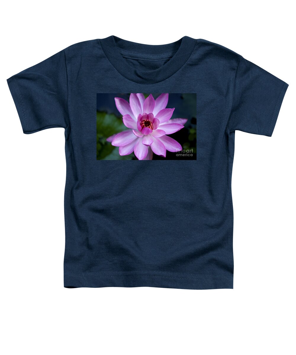  Flower Toddler T-Shirt featuring the photograph Whisper Sweet Nothings by Kerryn Madsen-Pietsch