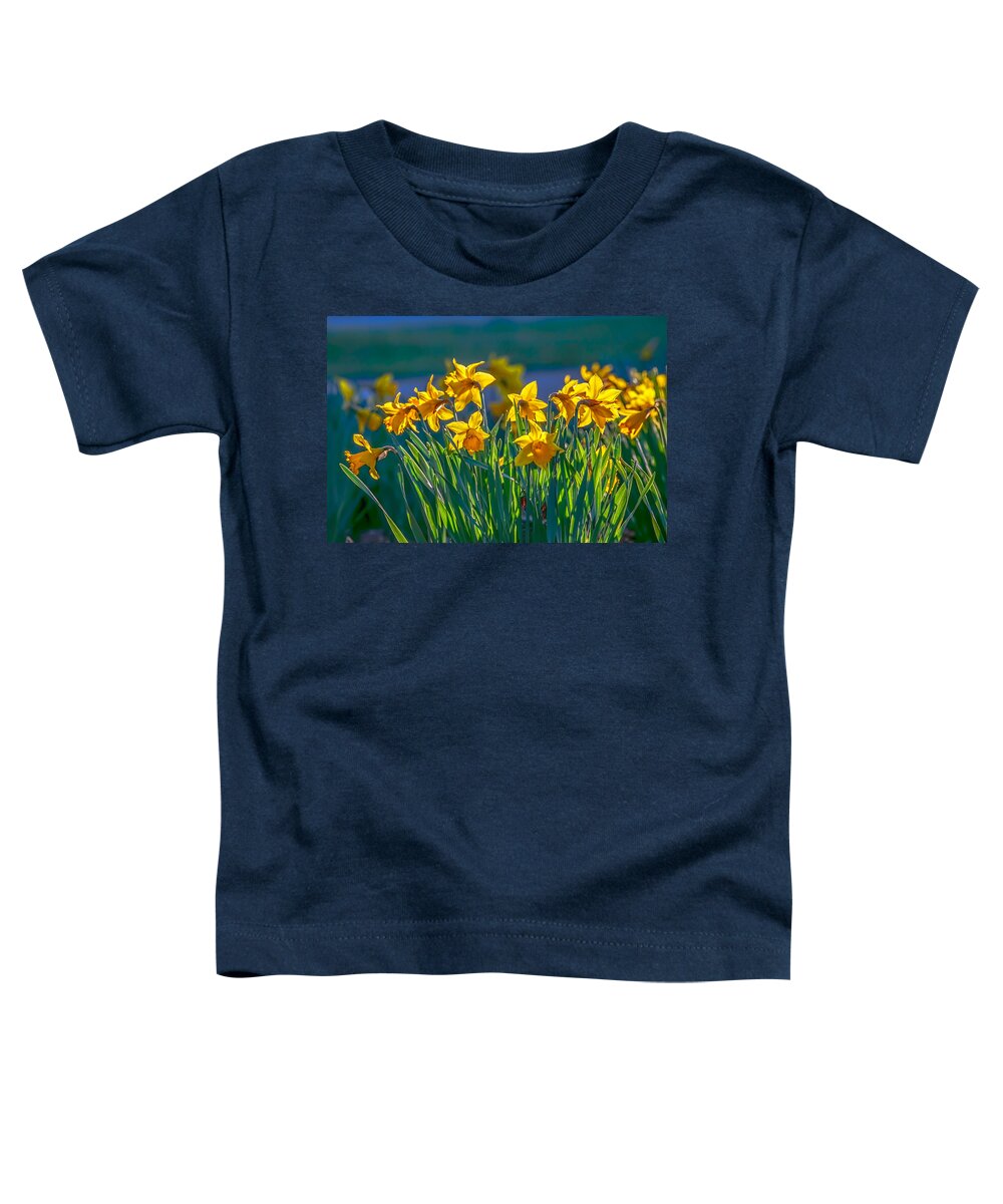 Narcissus Pseudonarcissus Toddler T-Shirt featuring the photograph Daffodils spring 2016 by Leif Sohlman