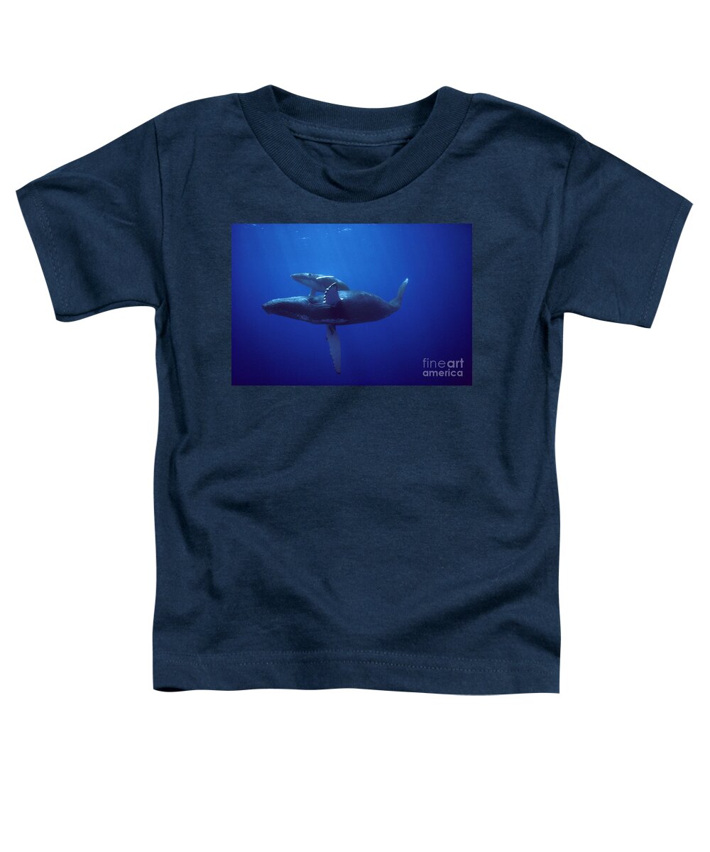 00080174 Toddler T-Shirt featuring the photograph Humpback Whale and Calf by Flip Nicklin