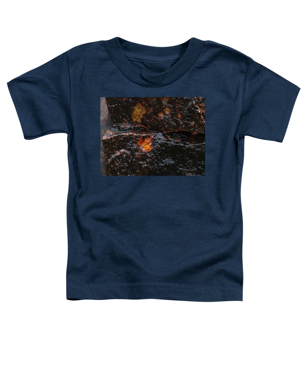 Acadia Np Toddler T-Shirt featuring the photograph Acadia Waterfall by Juergen Roth