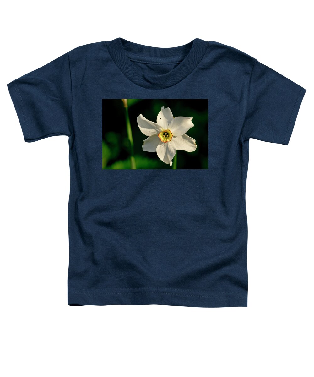 Forest Toddler T-Shirt featuring the photograph Afternoon of Narcissus Poeticus. by Elena Perelman