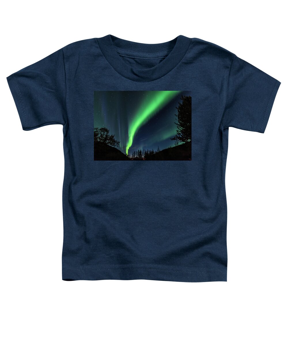 Alaska Toddler T-Shirt featuring the photograph Aurora Borealis, Northern Lights in Denali National Park by Brenda Jacobs