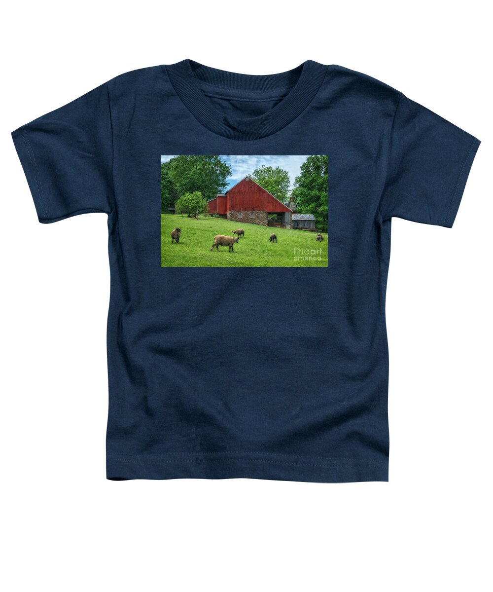 Bedminster Township Barn And Sheep Toddler T-Shirt featuring the photograph Bedminster Township Barn and Sheep by Priscilla Burgers