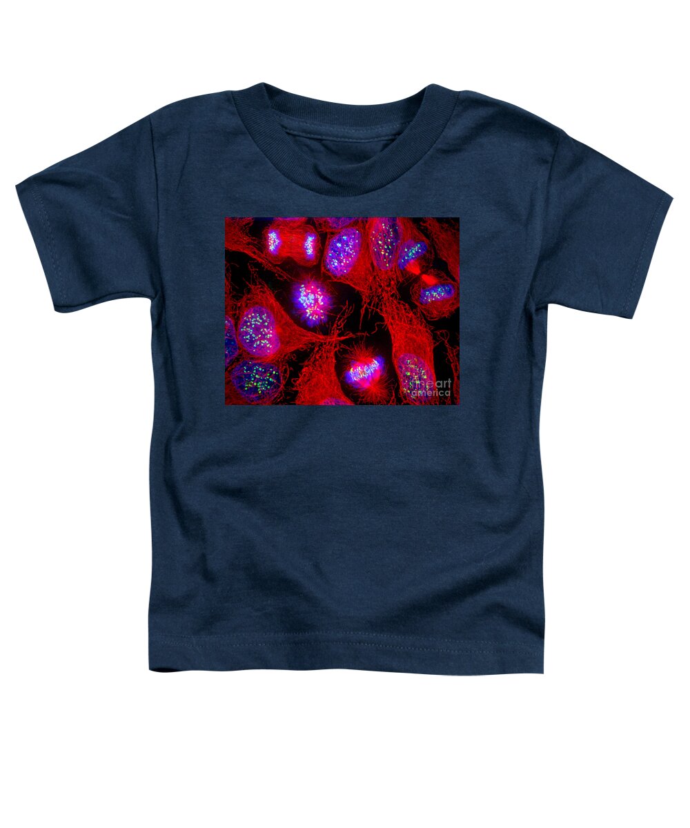 Cervical Carcinoma Cells Toddler T-Shirt featuring the photograph Cervical Carcinoma Cells by Jennifer C Waters
