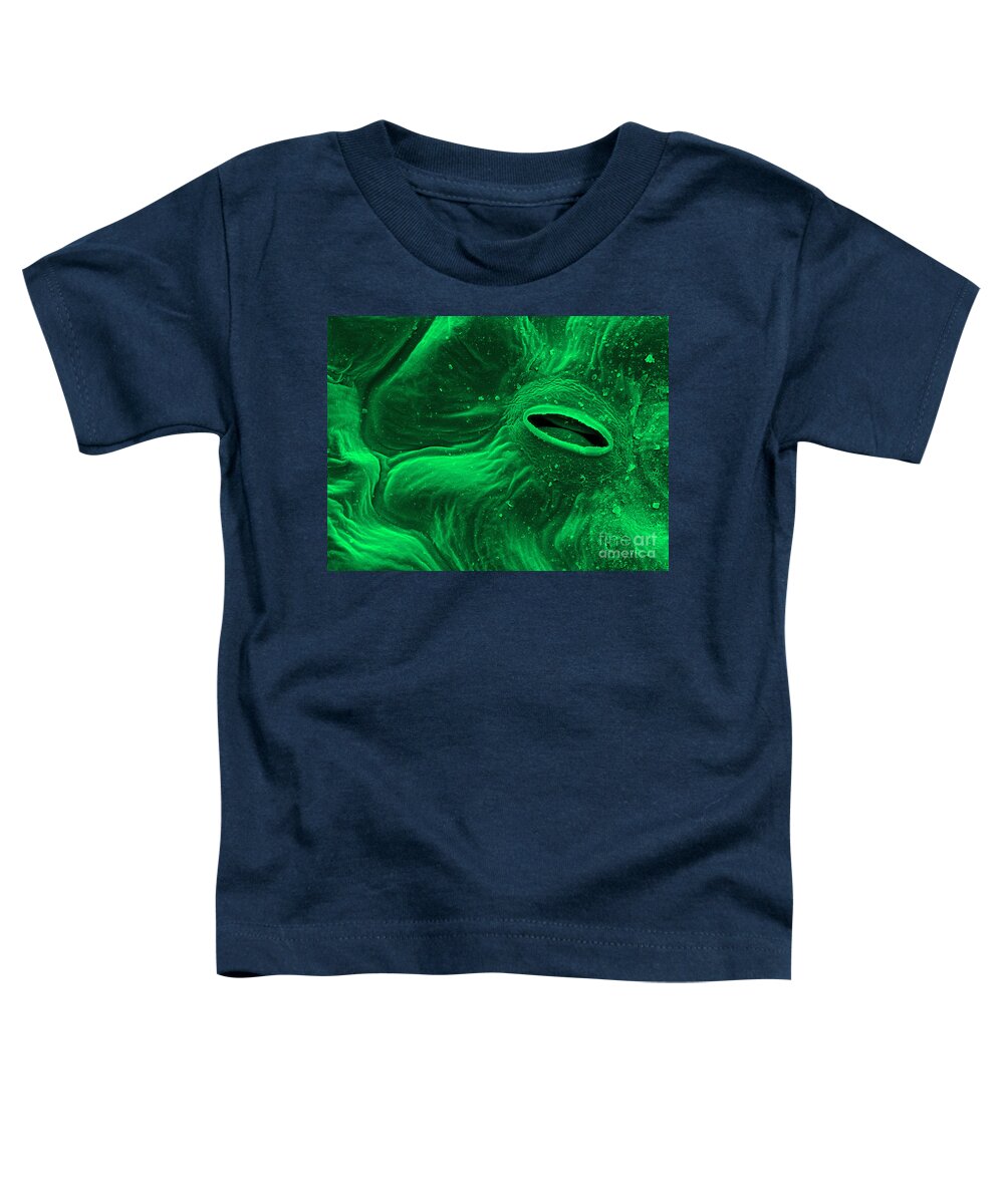 Leaf Toddler T-Shirt featuring the photograph Clean Leaf Of Fresh Baby Spinach by Scimat