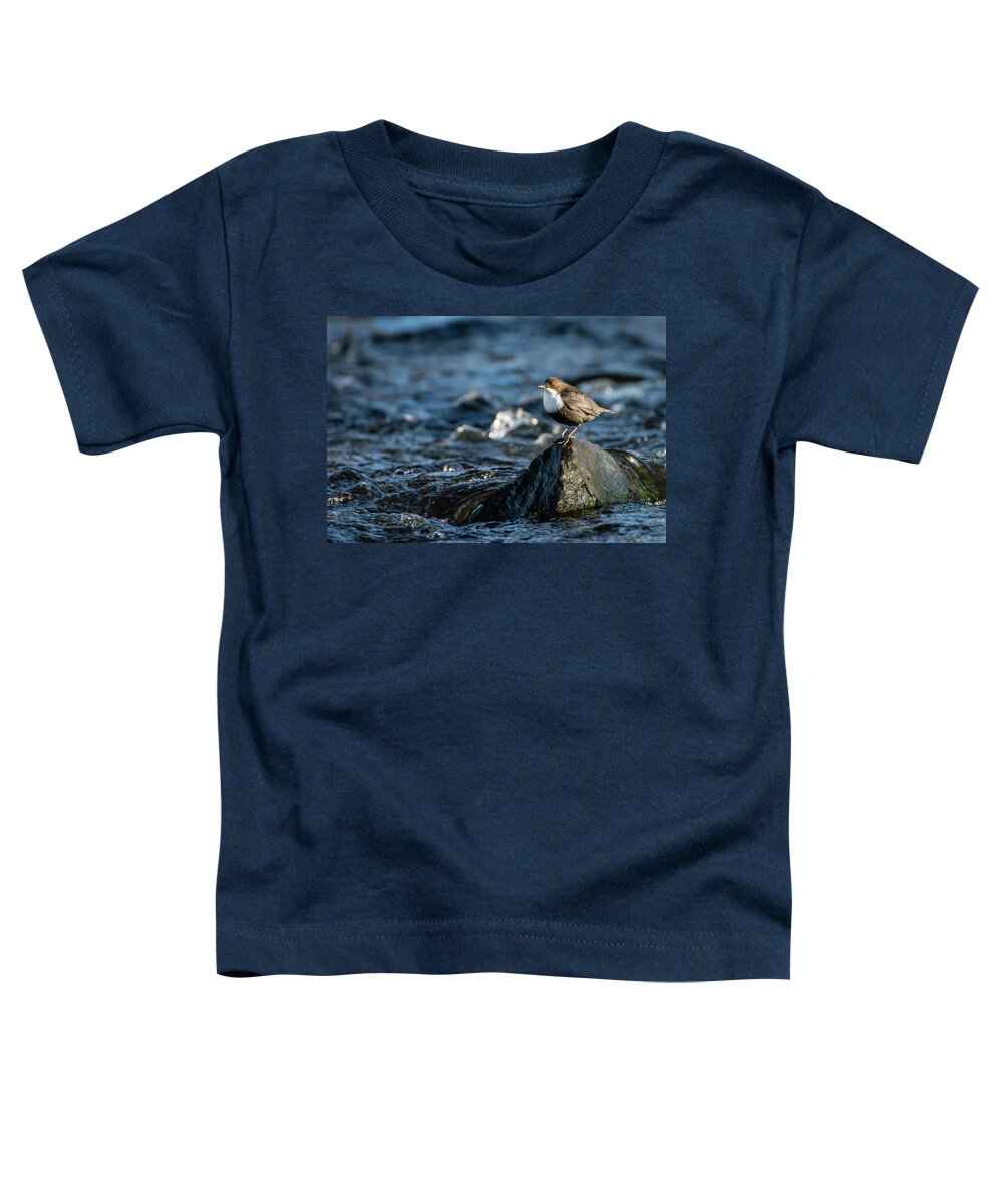 Dipper On The Rock Toddler T-Shirt featuring the photograph Dipper on the rock by Torbjorn Swenelius