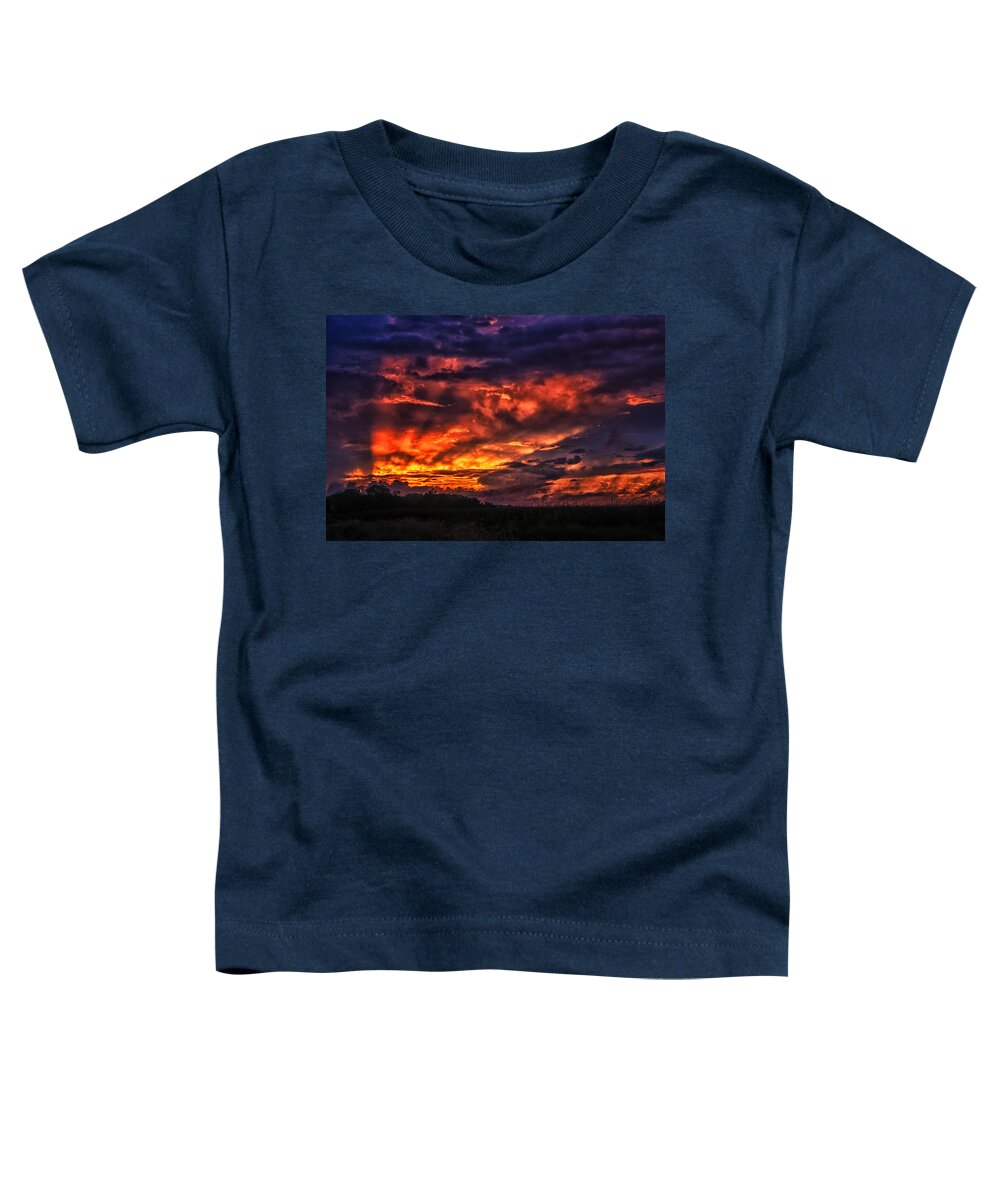 Sunset Toddler T-Shirt featuring the photograph Fire in the Sky over Georgetown by Bill Swartwout